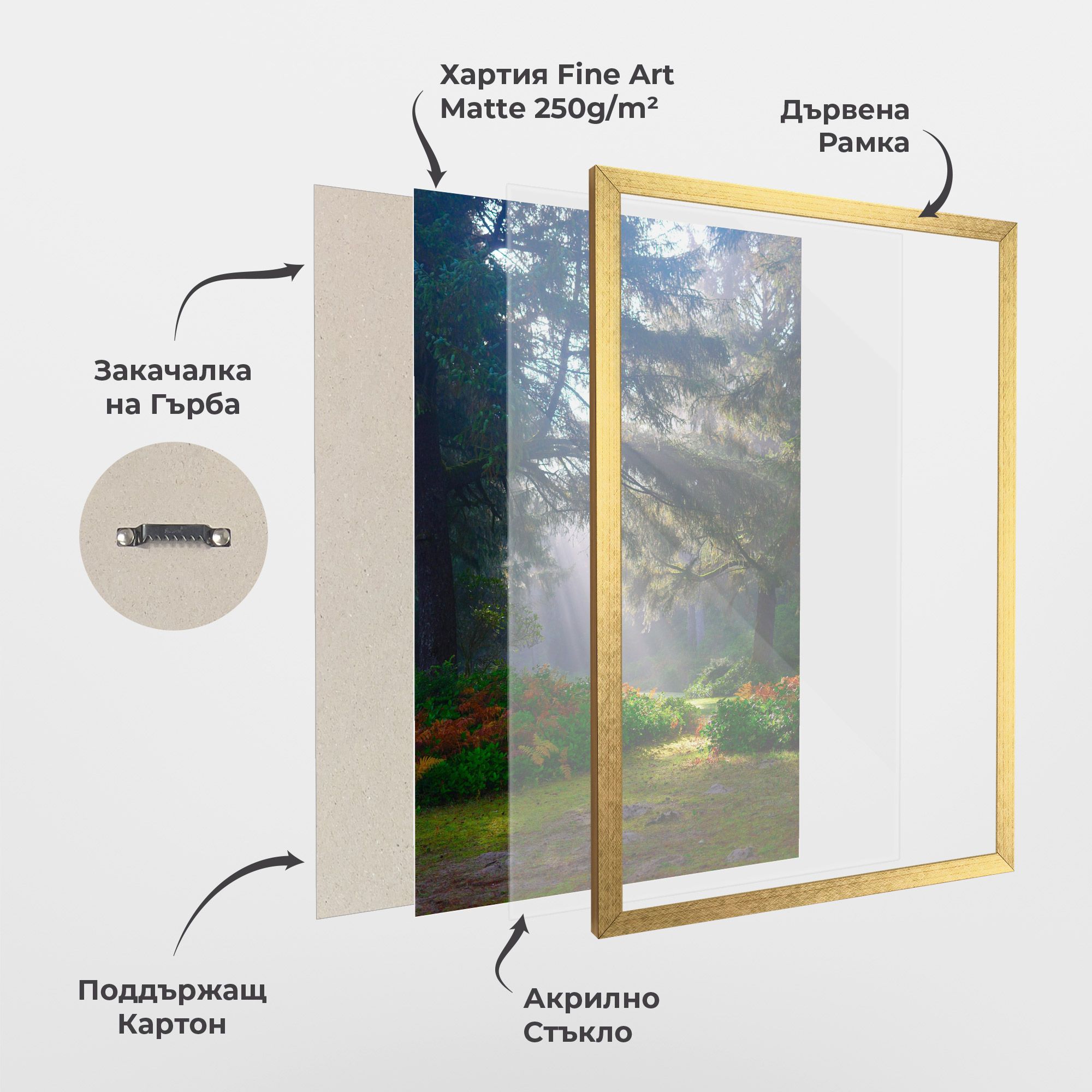 Forest Light mockup 1