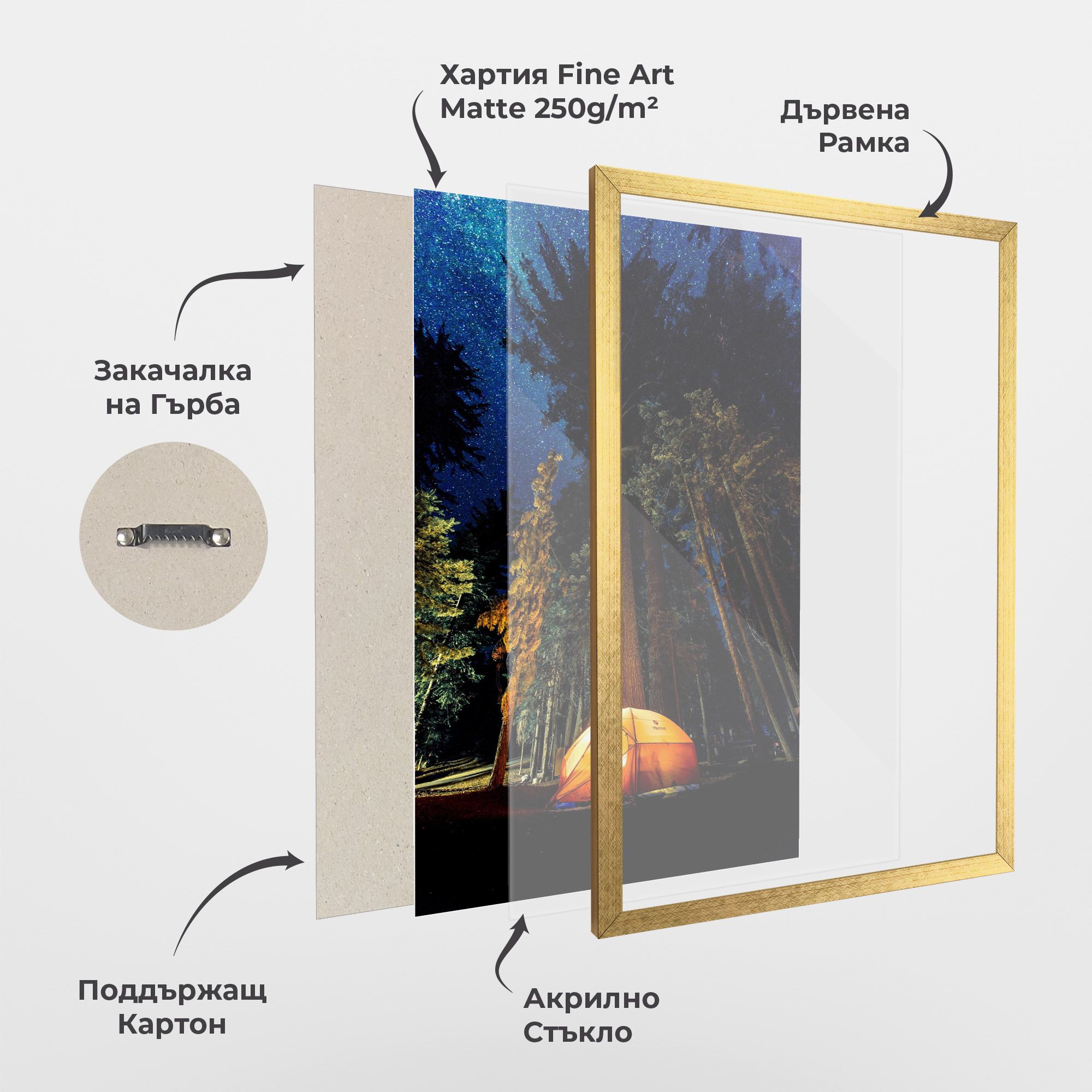 Forest Trip mockup 1