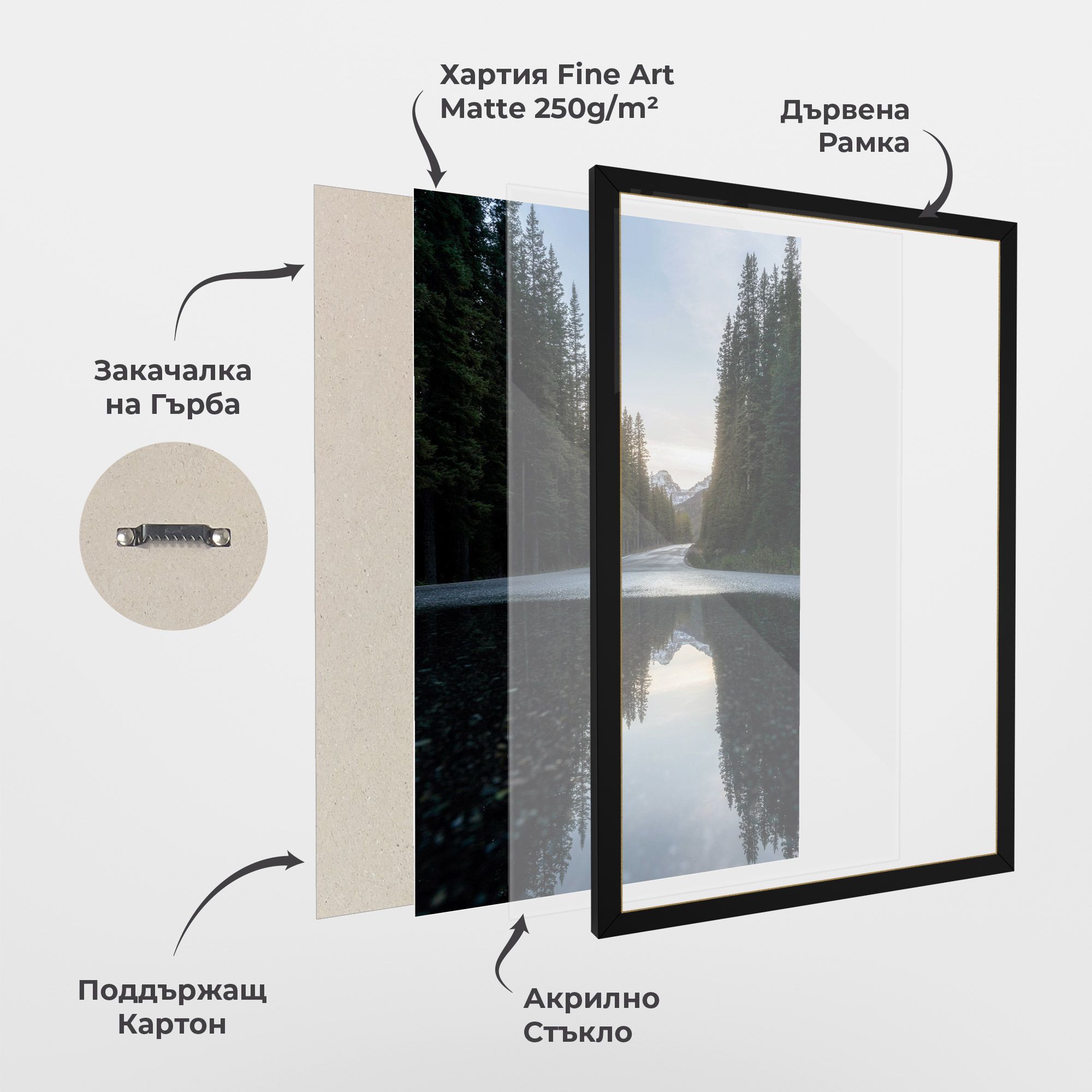 Big Lake Forest mockup 1