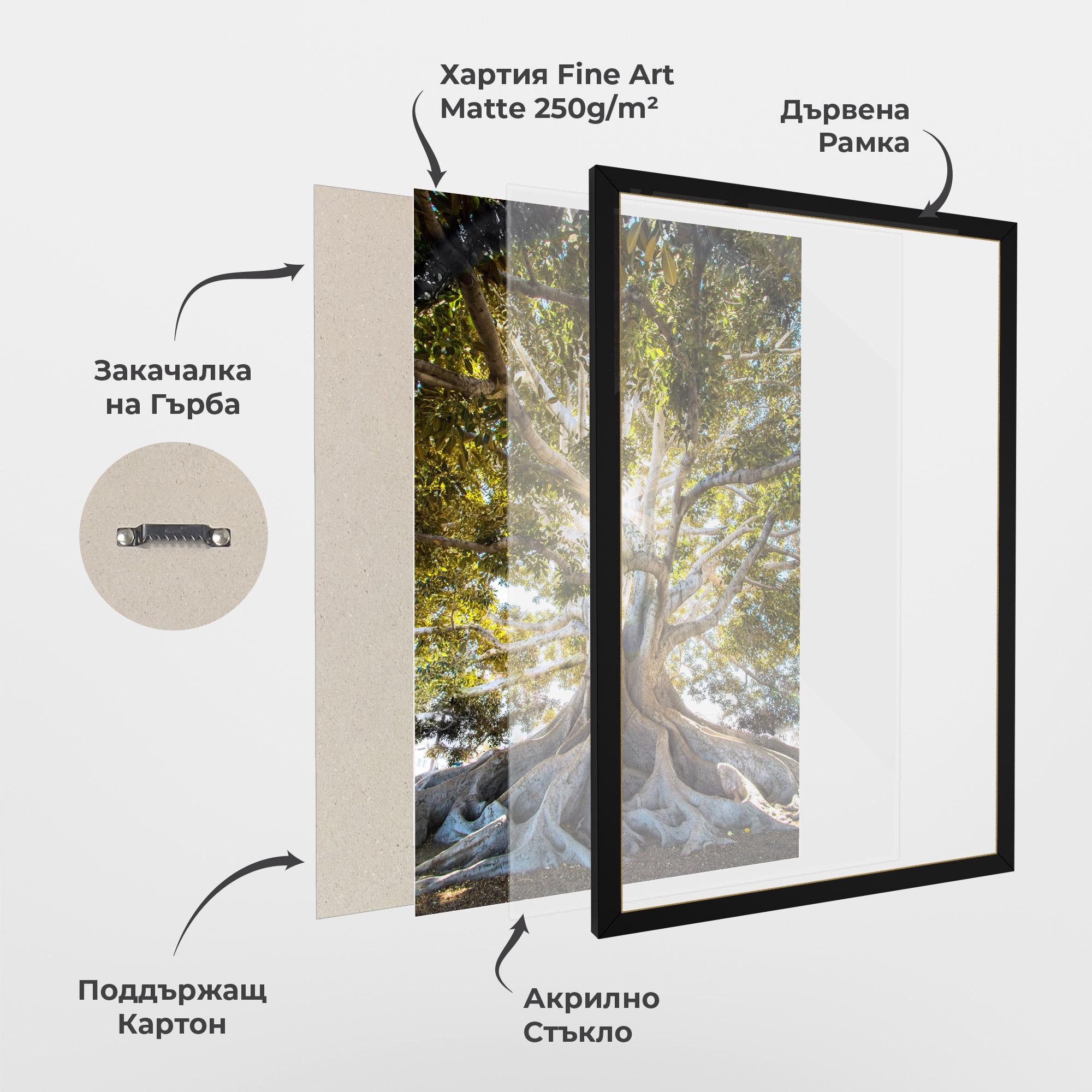 Рамкиран постер Big Old Tree mockup 1