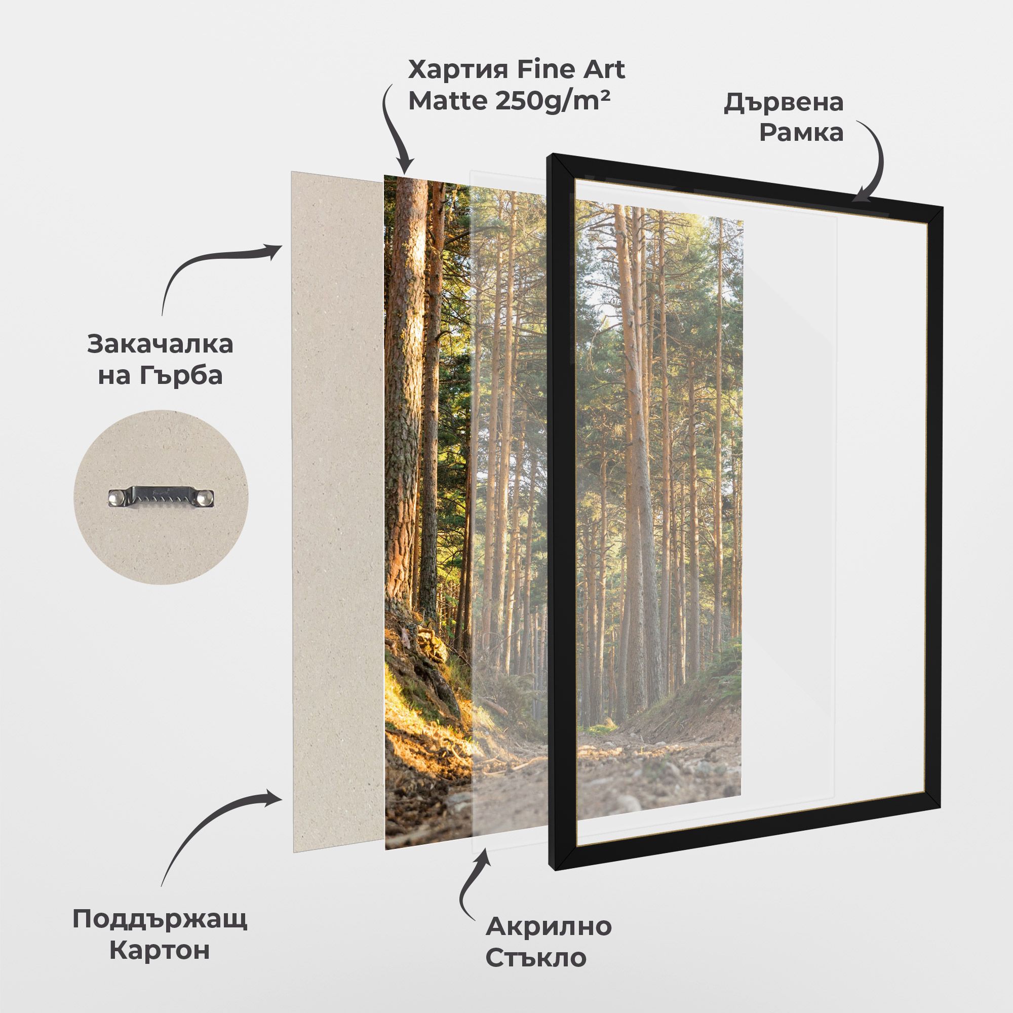 Big Trees Forest mockup 1