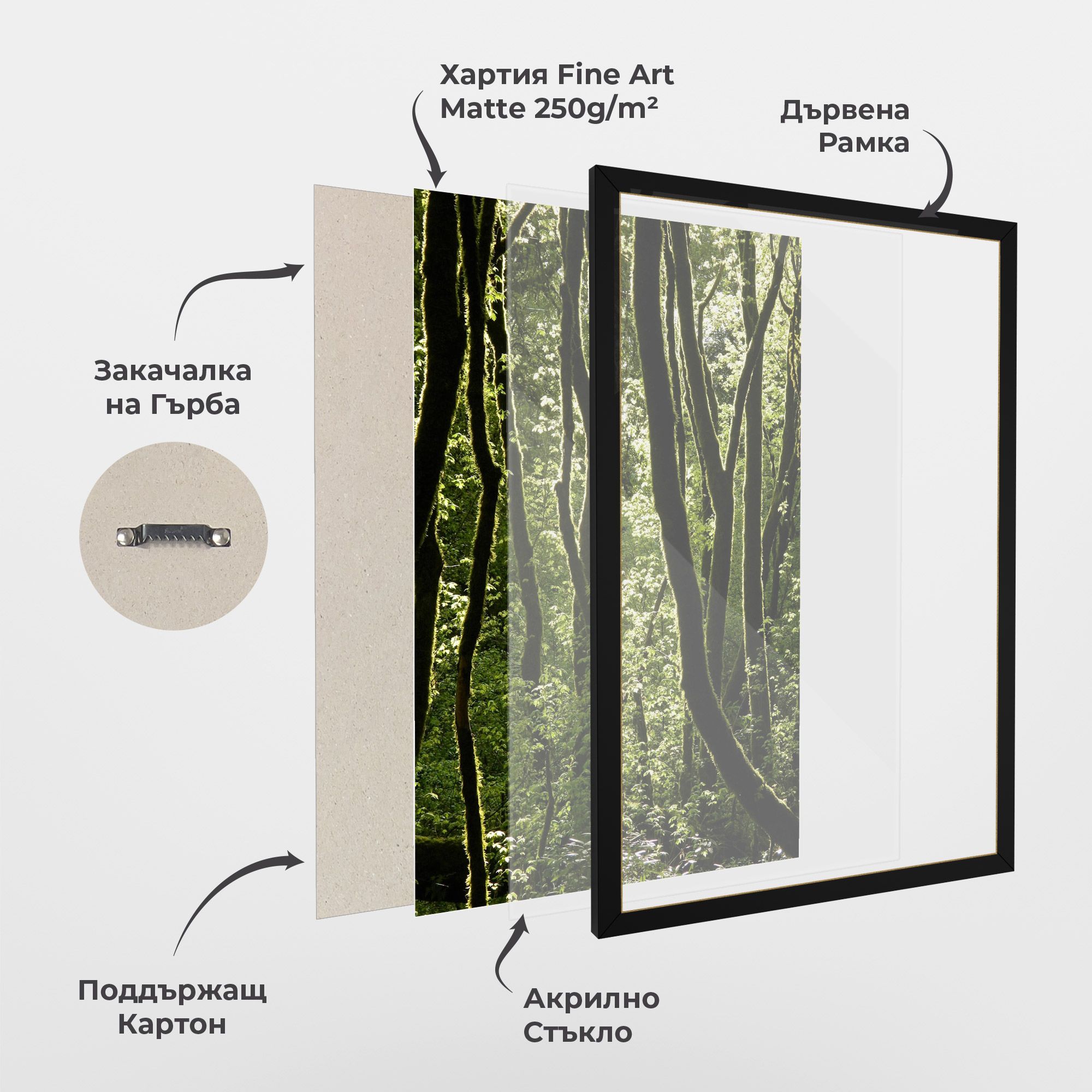 Forest Black Trees mockup 1