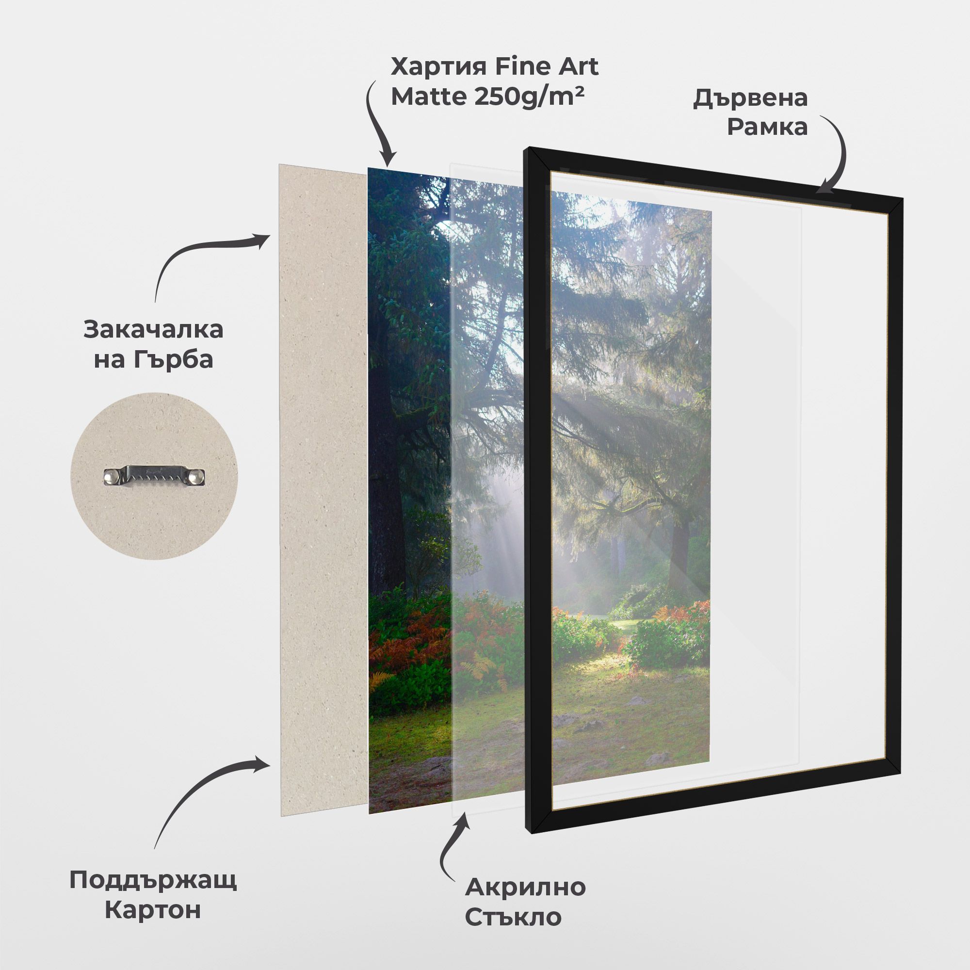 Forest Light mockup 1