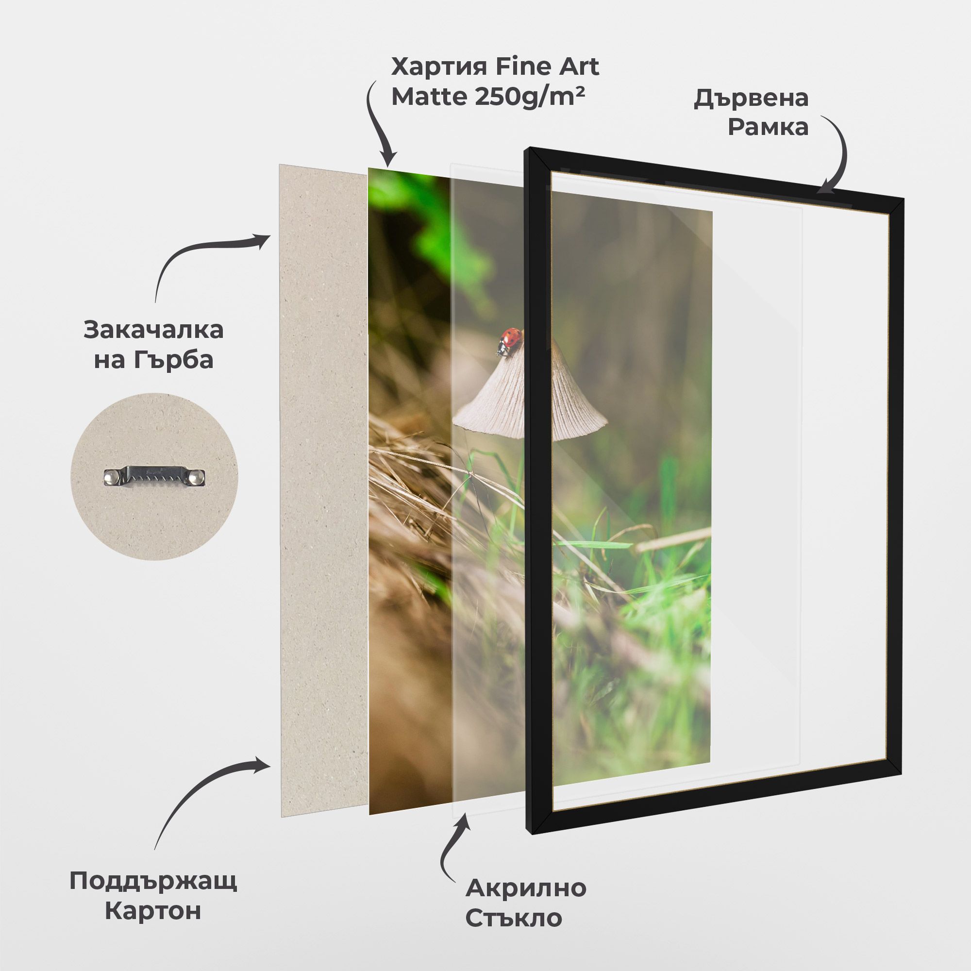 Mushroom Forest mockup 1