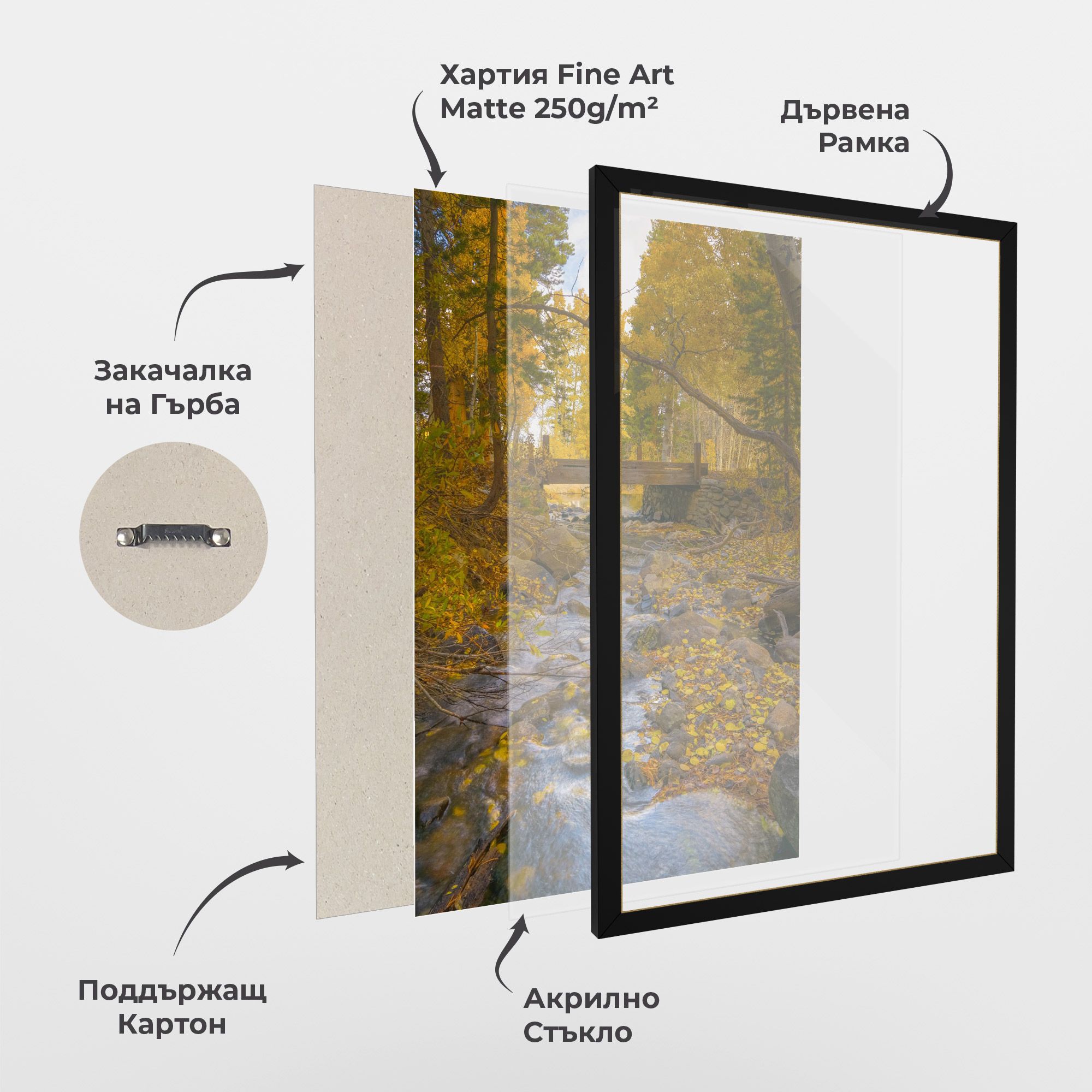 Yellow View Forest mockup 1