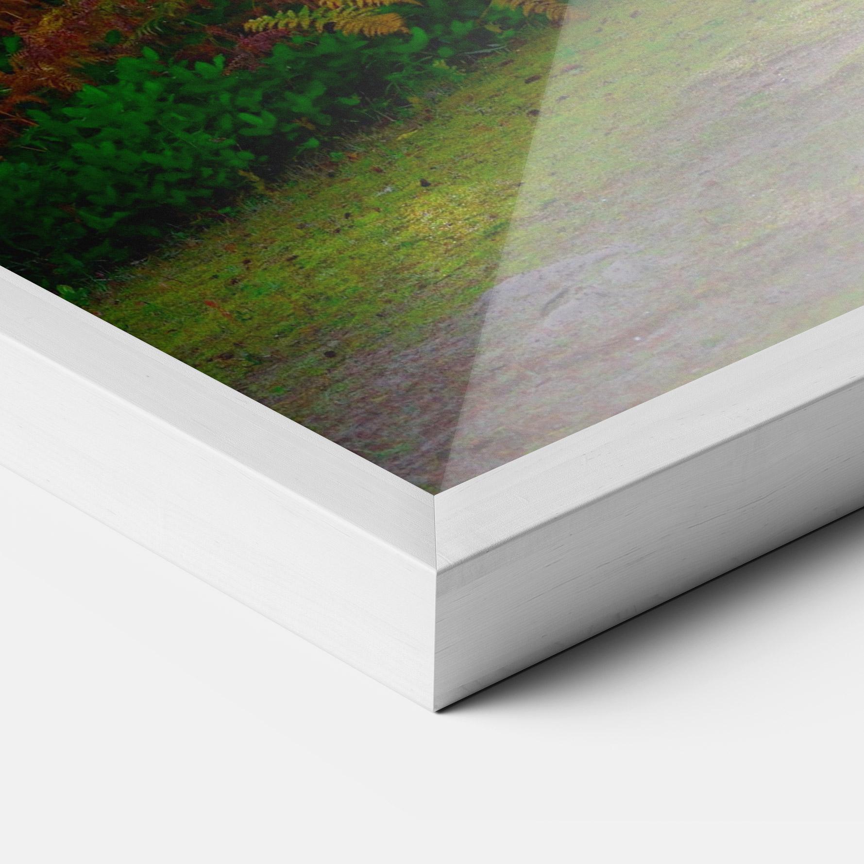 Рамкиран постер Forest Light mockup 3