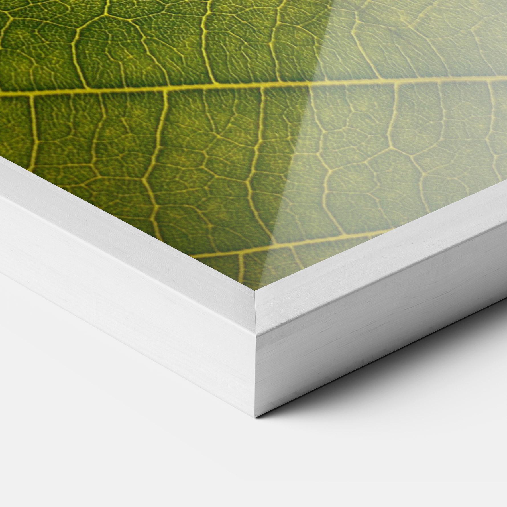 Рамкиран постер Leaf Closeup Forest mockup 3