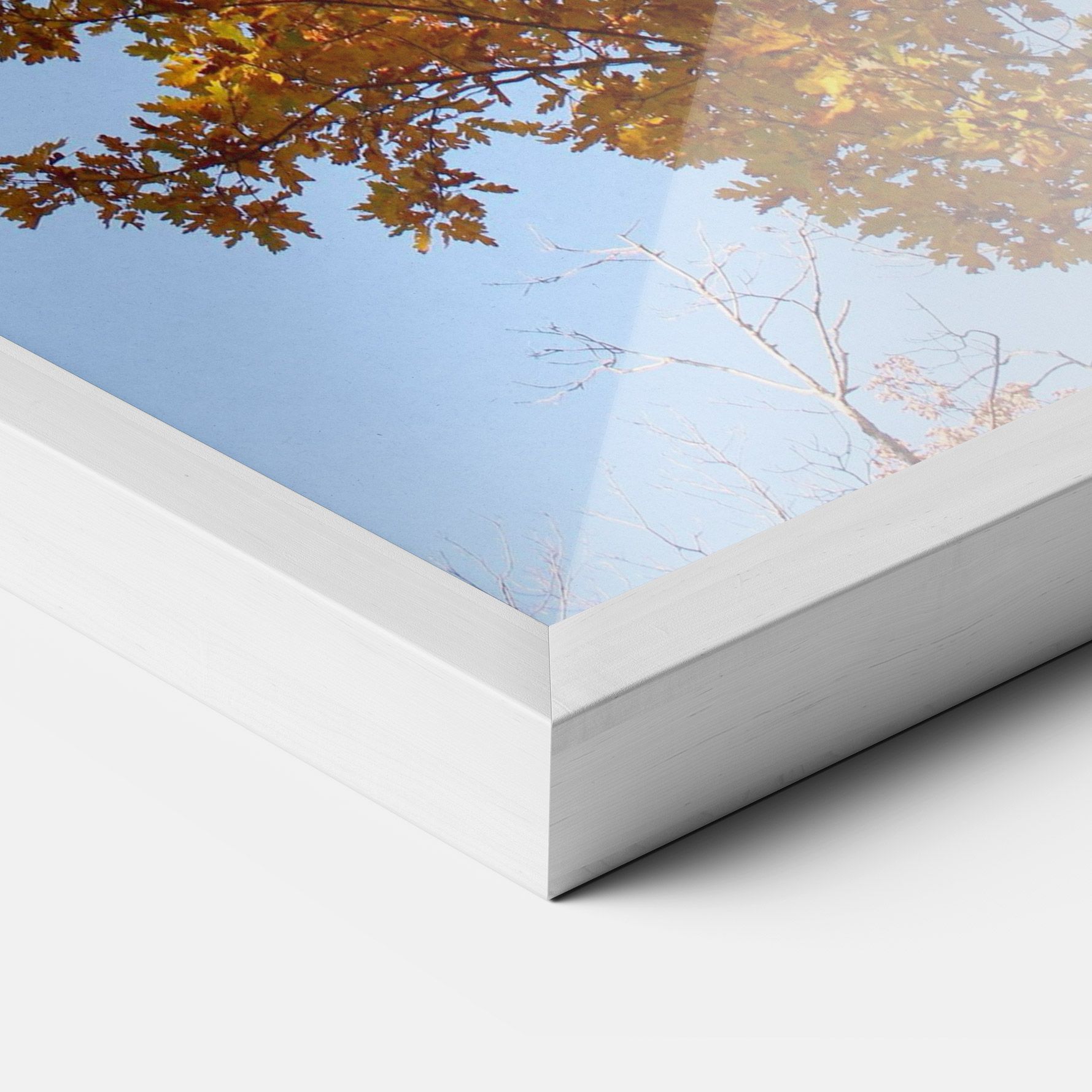 Yellow Tree Forest mockup 3