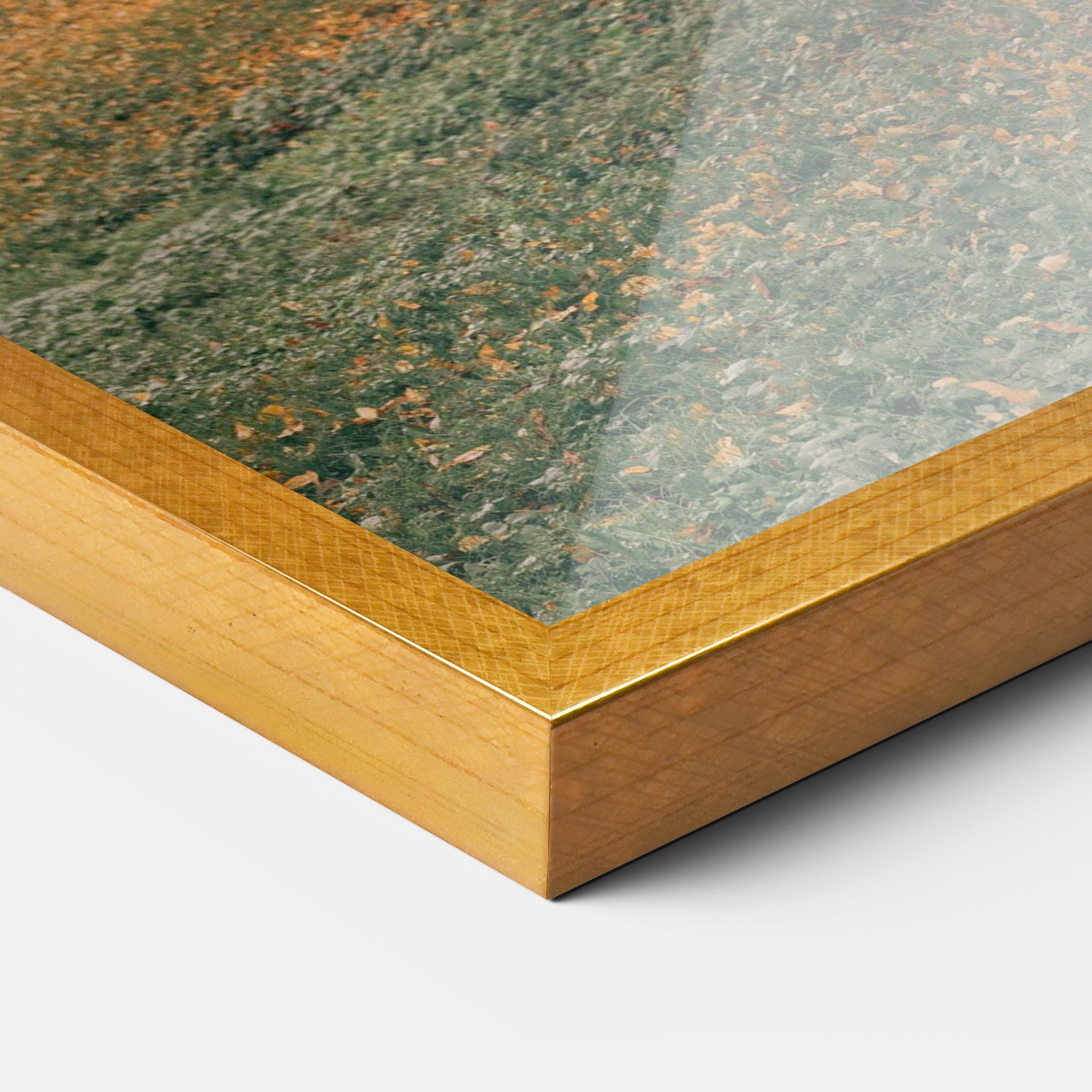 Autumn Forest mockup 3