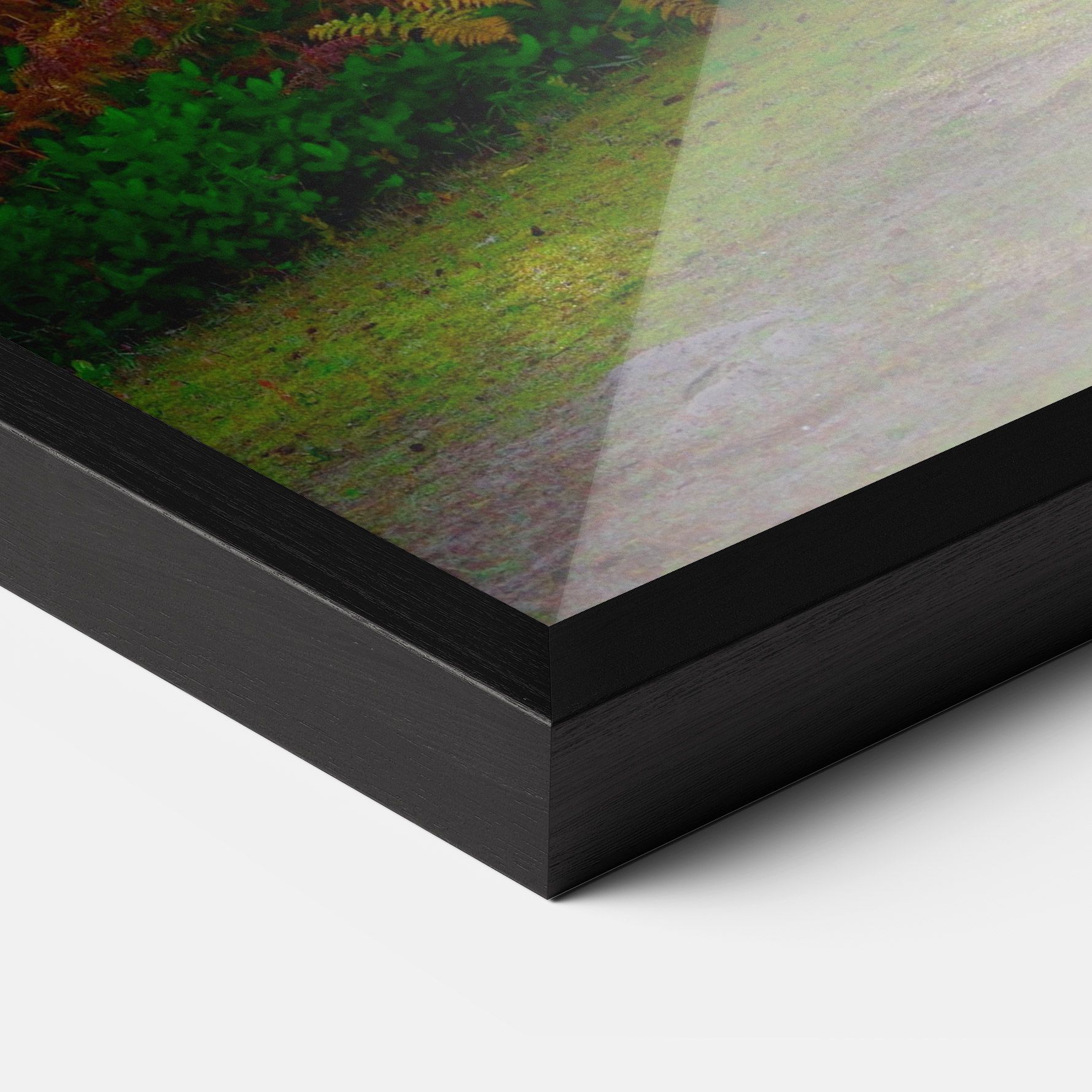 Forest Light mockup 3