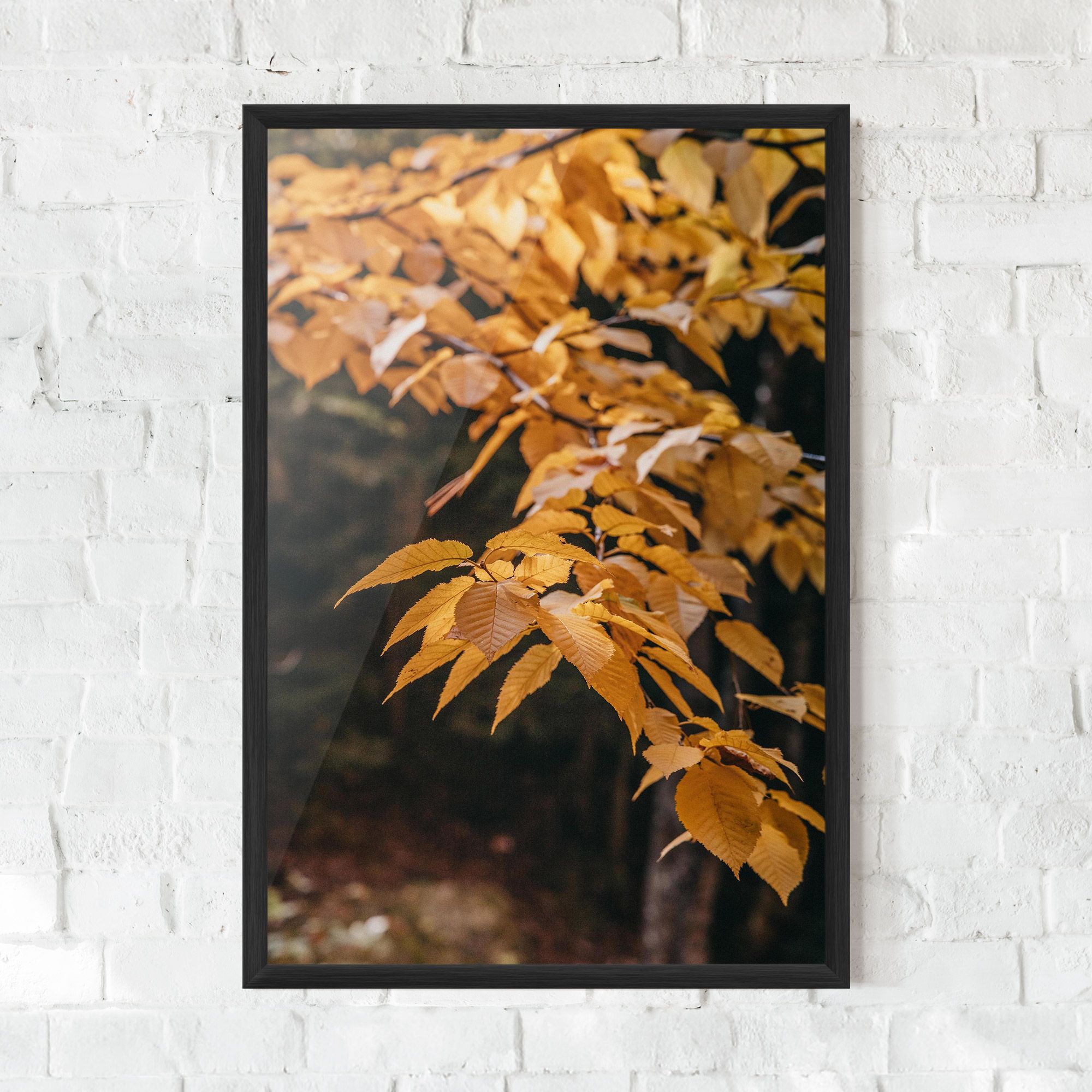 Autumn Nature mockup 0