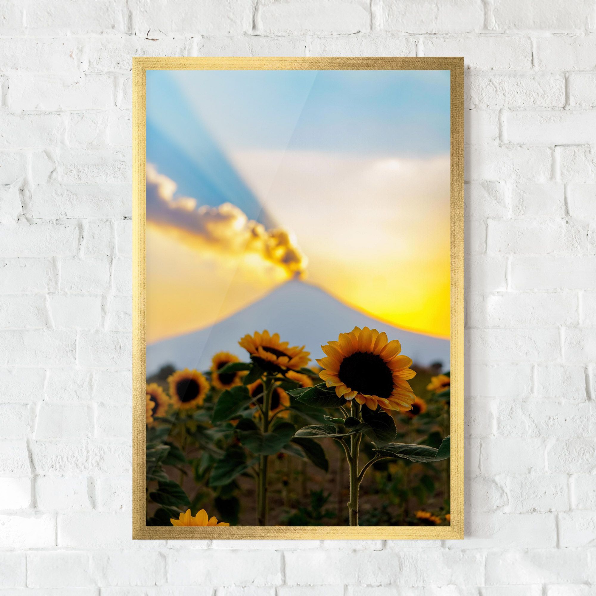 Sunflower Sunset mockup 0