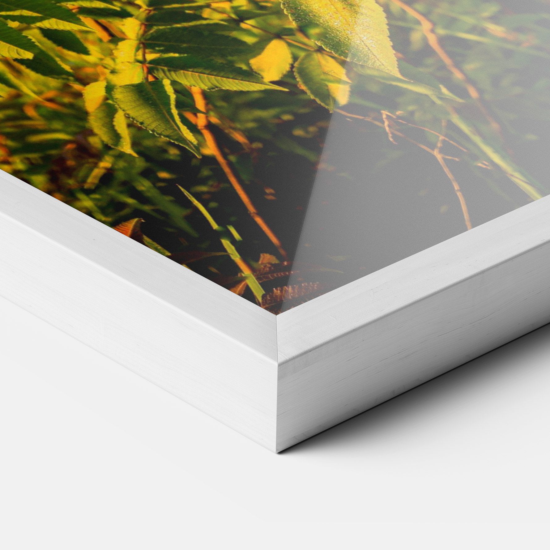 Summer Leaves mockup 3