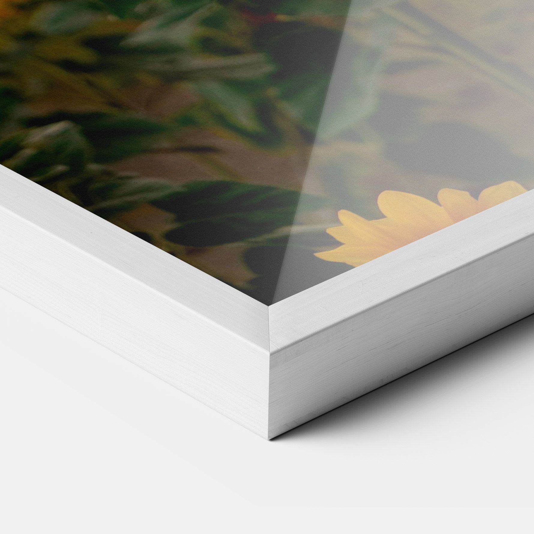 Sunflower Sunset mockup 3