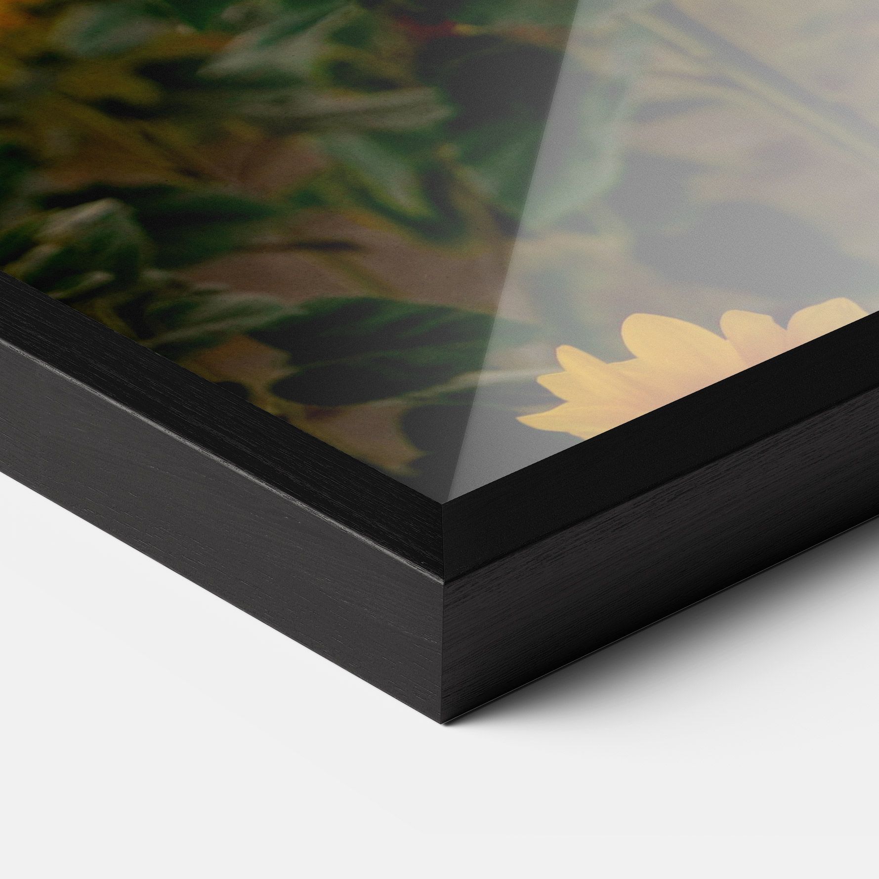 Sunflower Sunset mockup 3