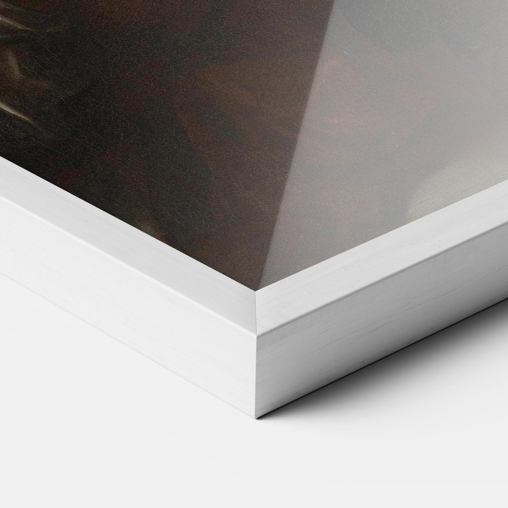 Рамкиран постер Boy Bitten By A Lizard mockup 3