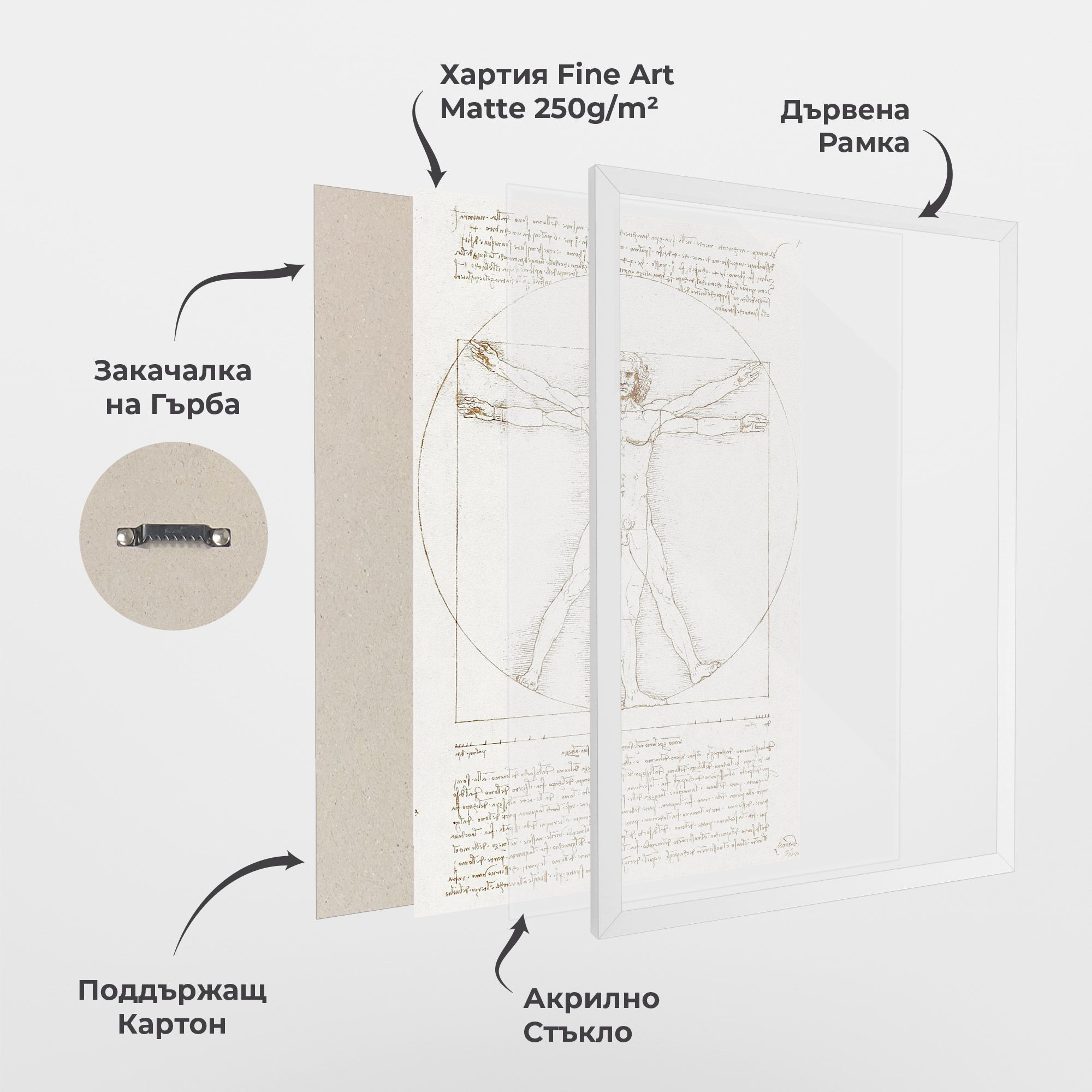 Leonardo Da Vinci's Vitruvian Man mockup 1