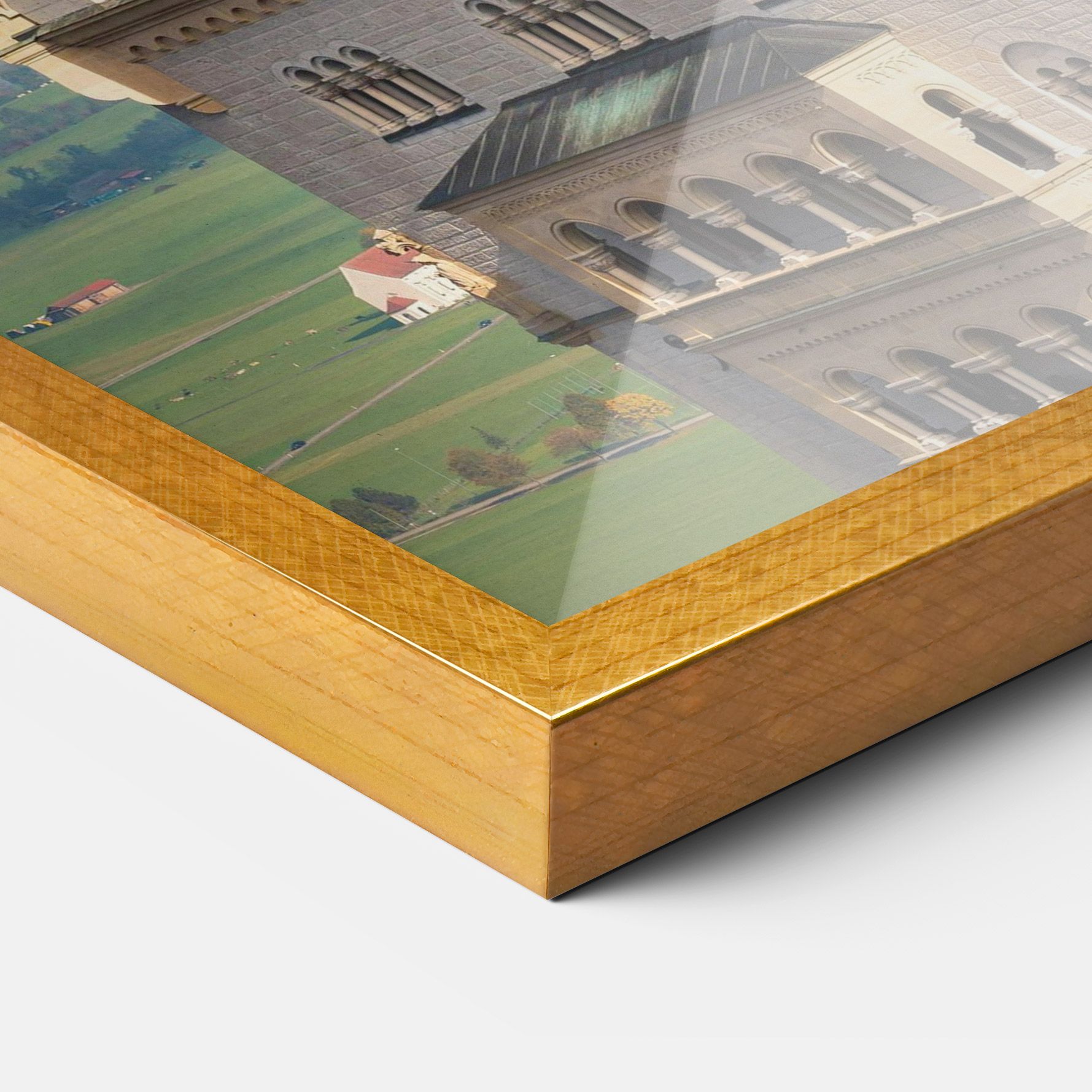 Neuschwanstein Castle View mockup 3