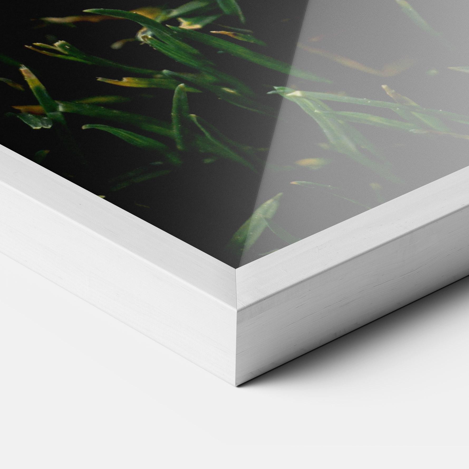 Рамкиран постер Sugar Golf mockup 3