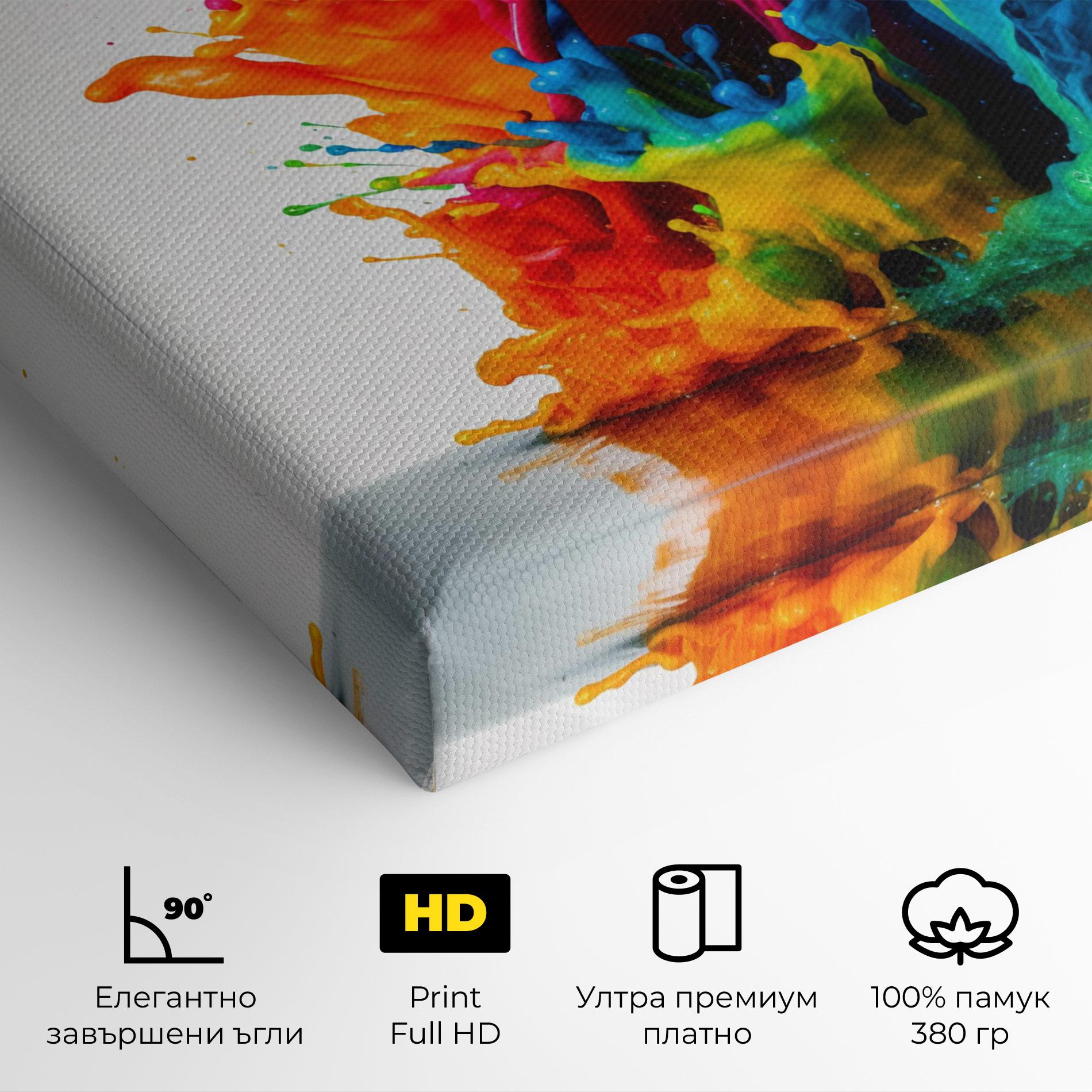Картина на платно Colorful Explosion Paint mockup 4