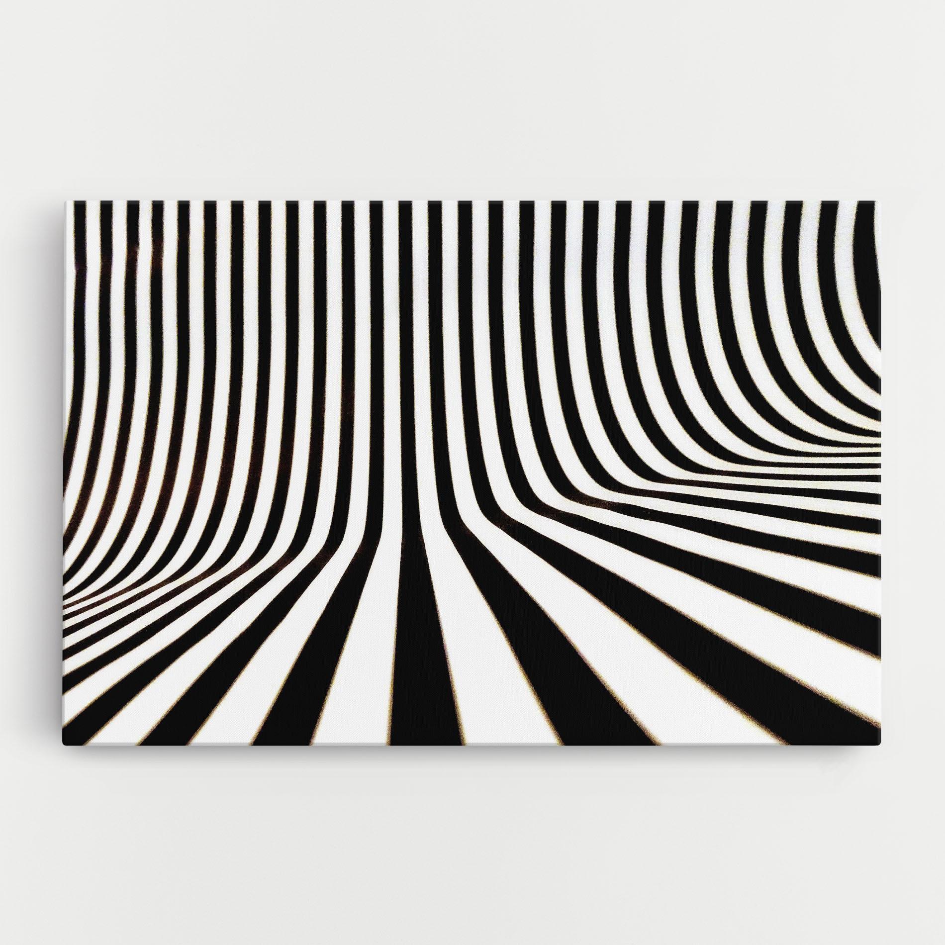 Картина на платно Black And White Illusion mockup 0