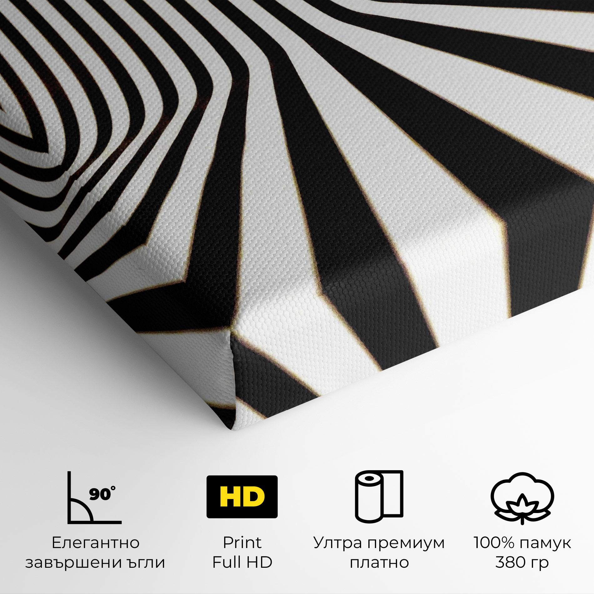 Картина на платно Black And White Illusion mockup 4