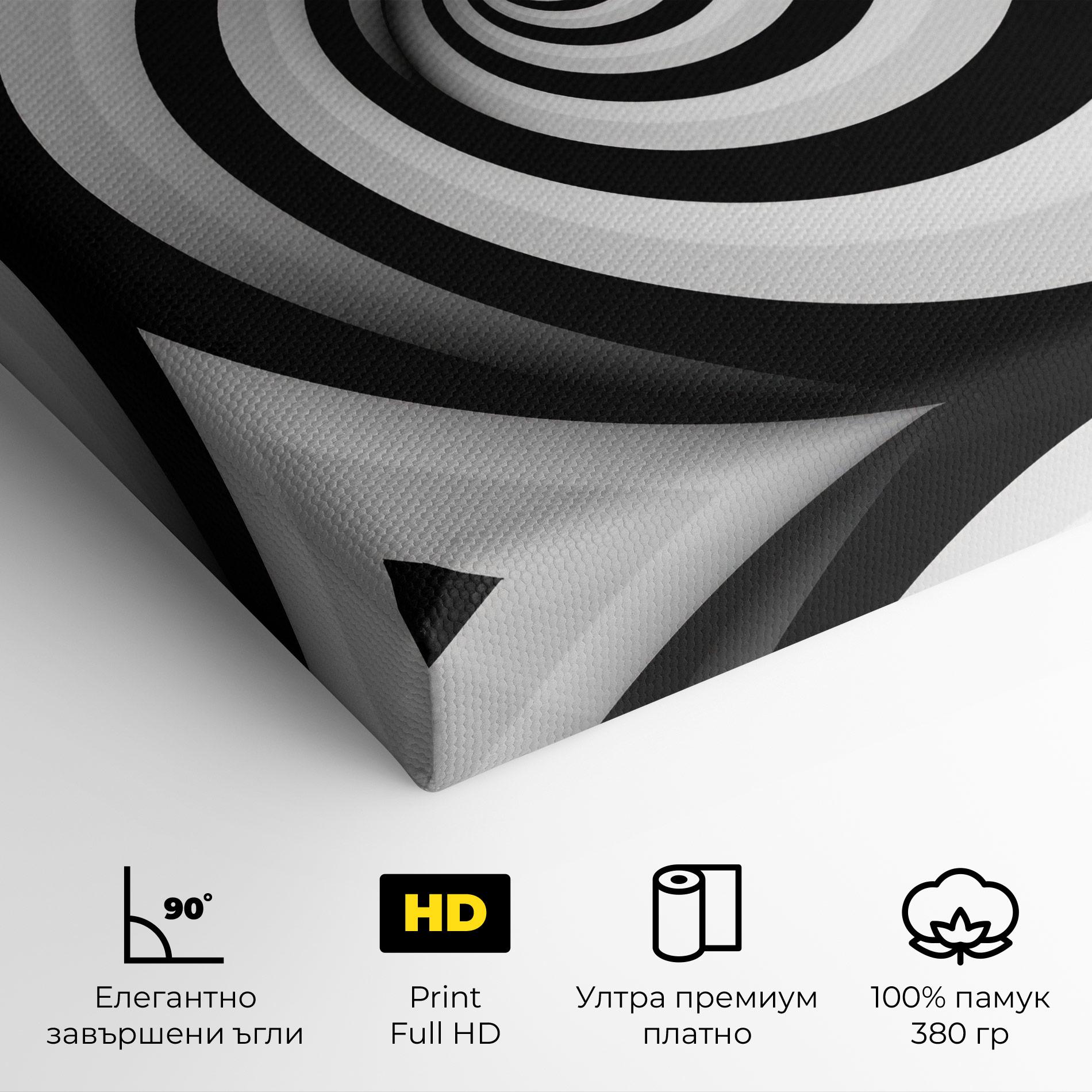 Картина на платно Black White Spiral mockup 4