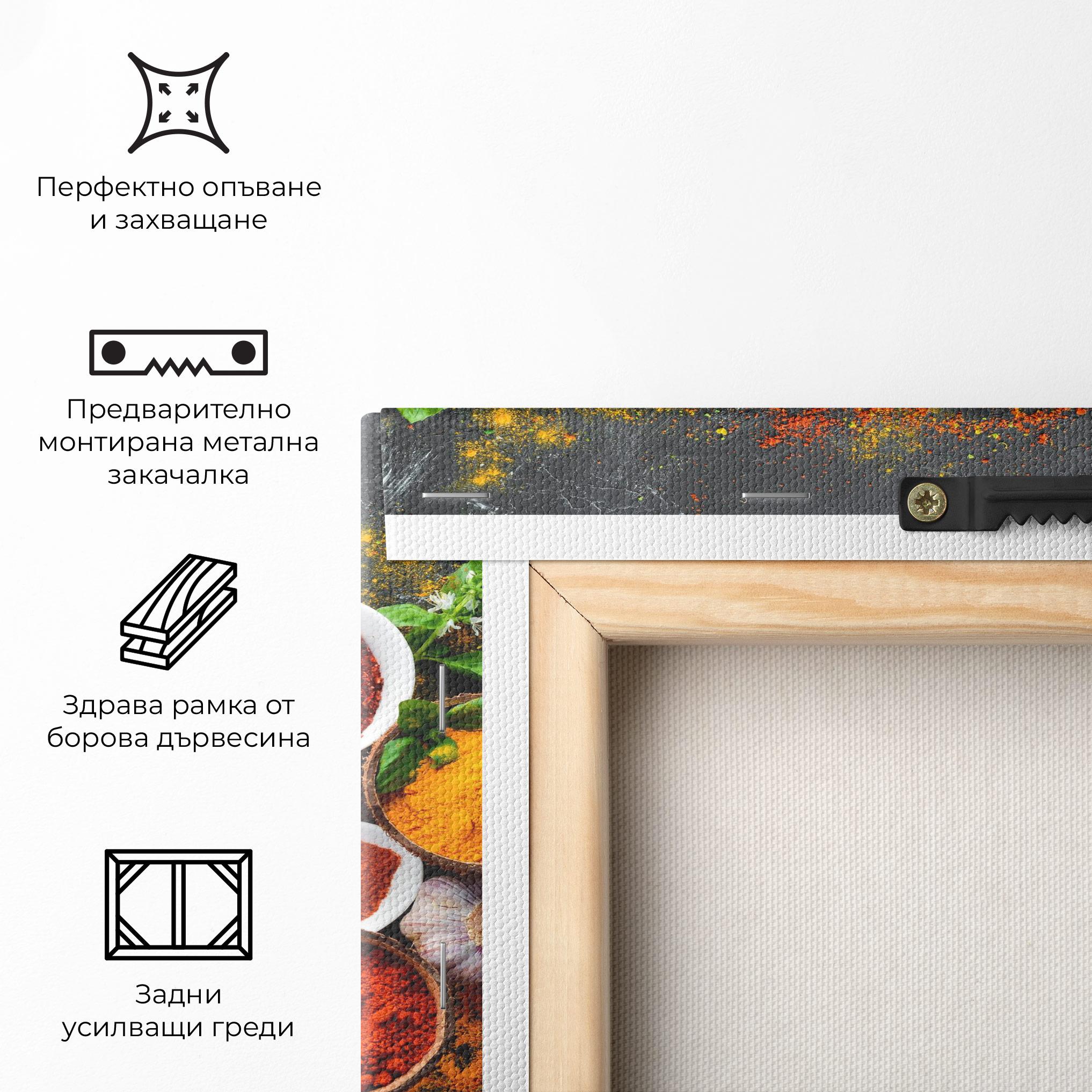 Картина на платно Colorful Herbs Spices mockup 5