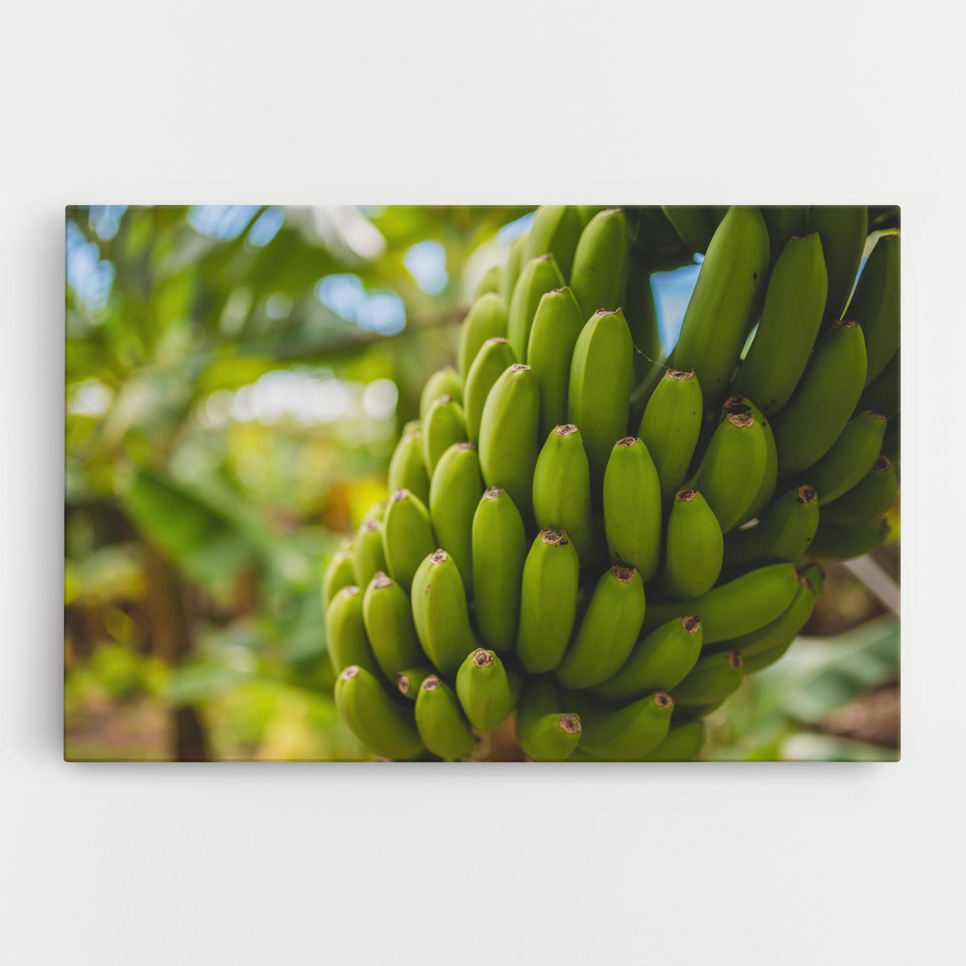 Картина на платно Green Banana mockup 0