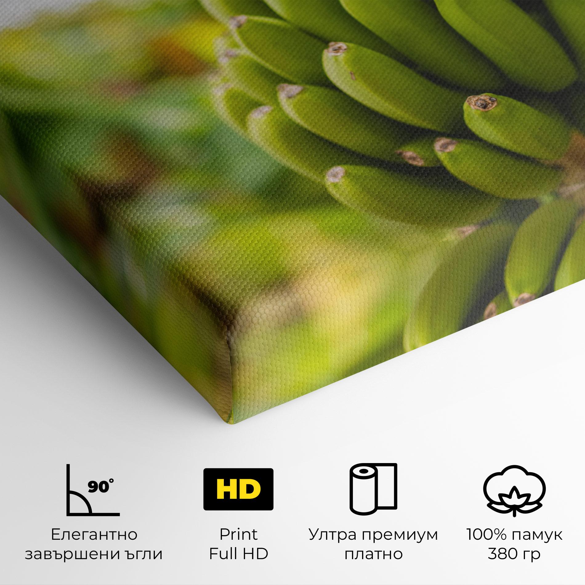 Картина на платно Green Banana mockup 4