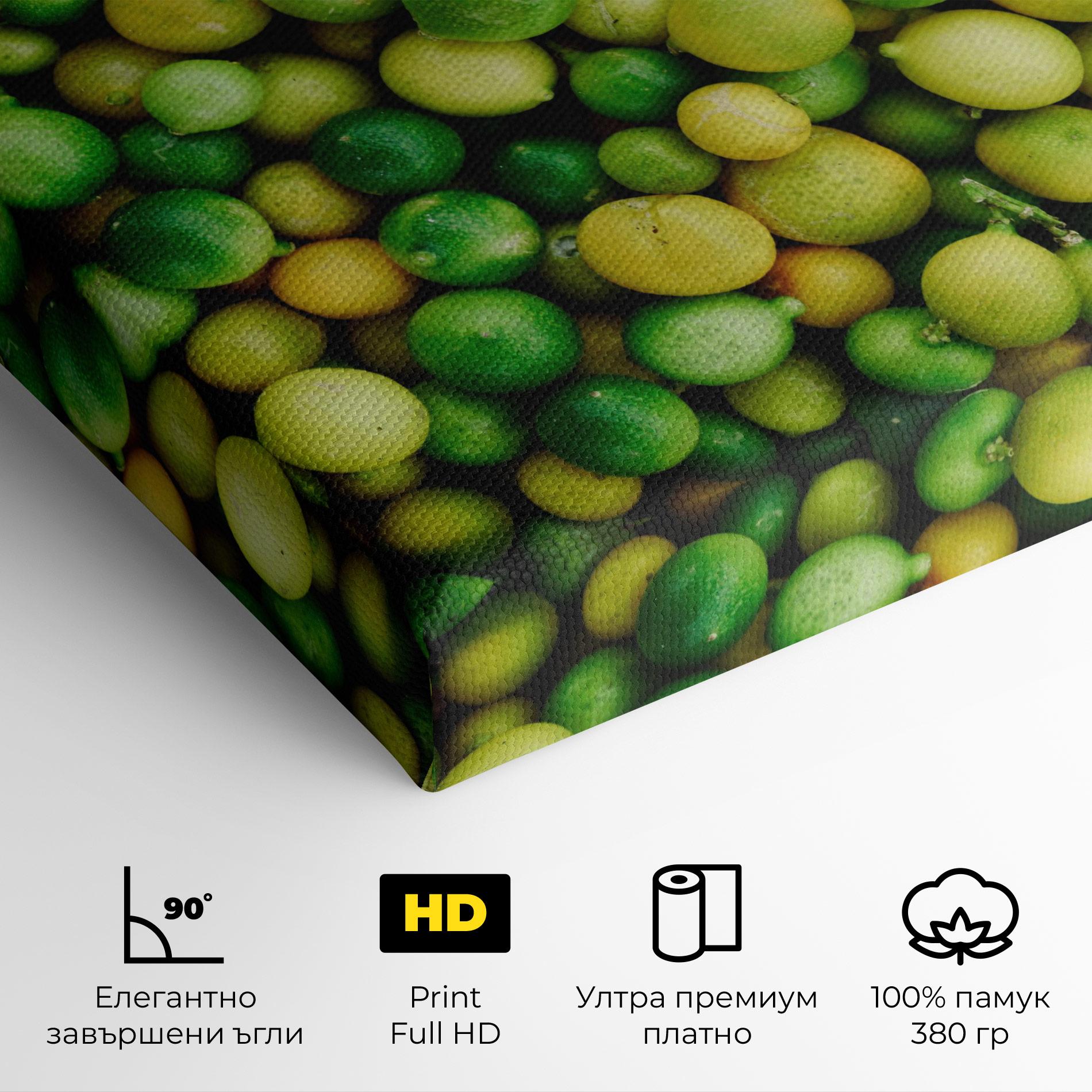 Картина на платно Green Lime mockup 4