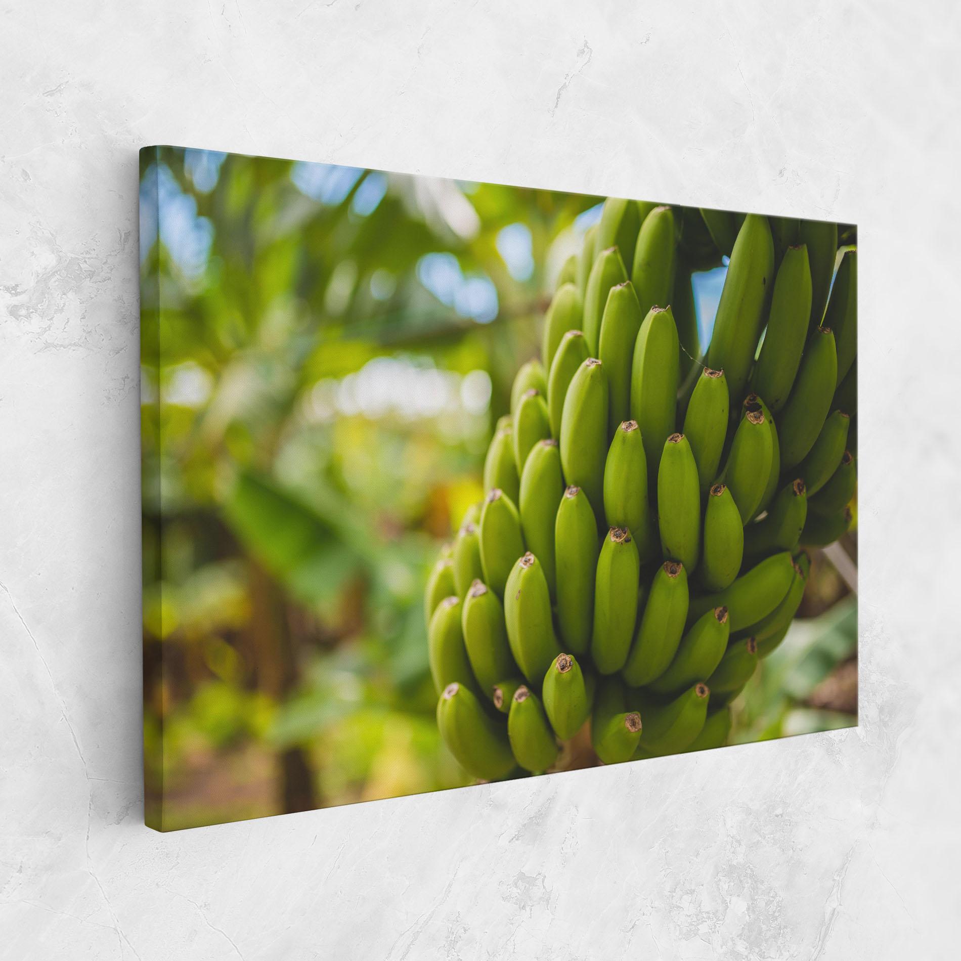 Картина на платно Green Banana mockup 1