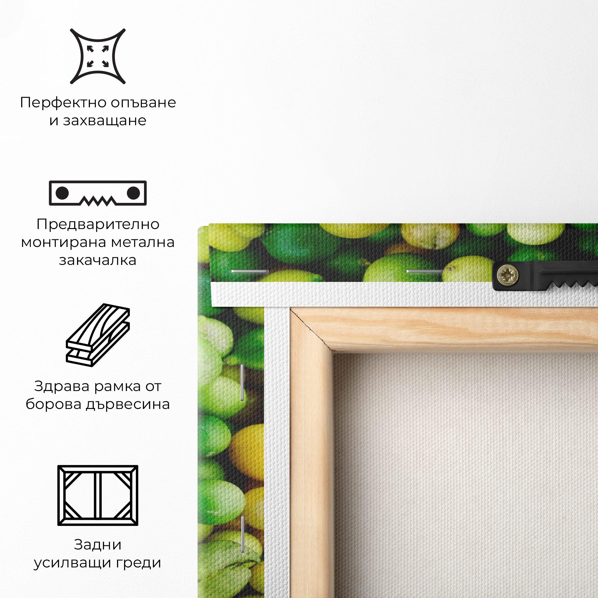 Картина на платно Green Lime mockup 5