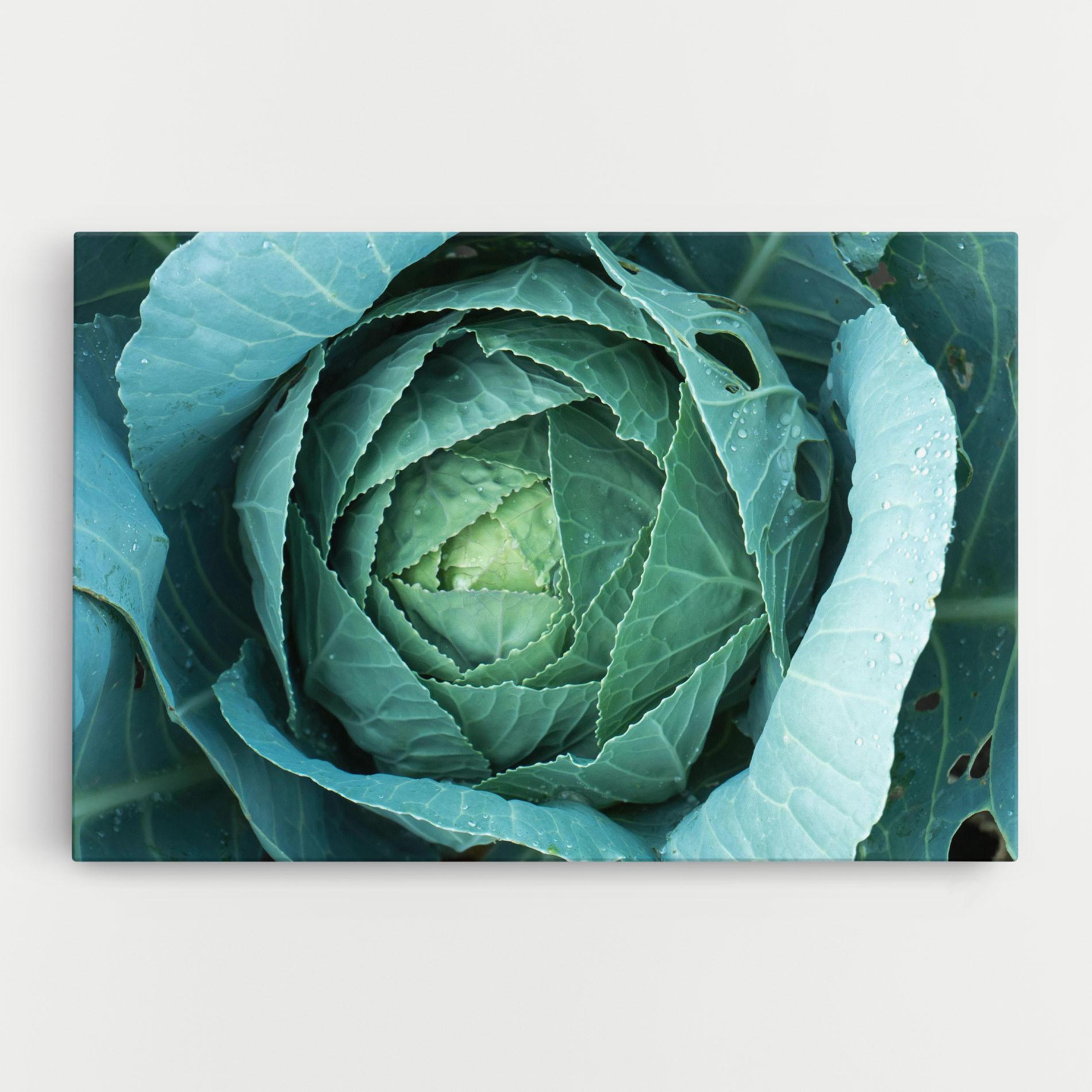 Картина на платно Blue Lettuce mockup 0