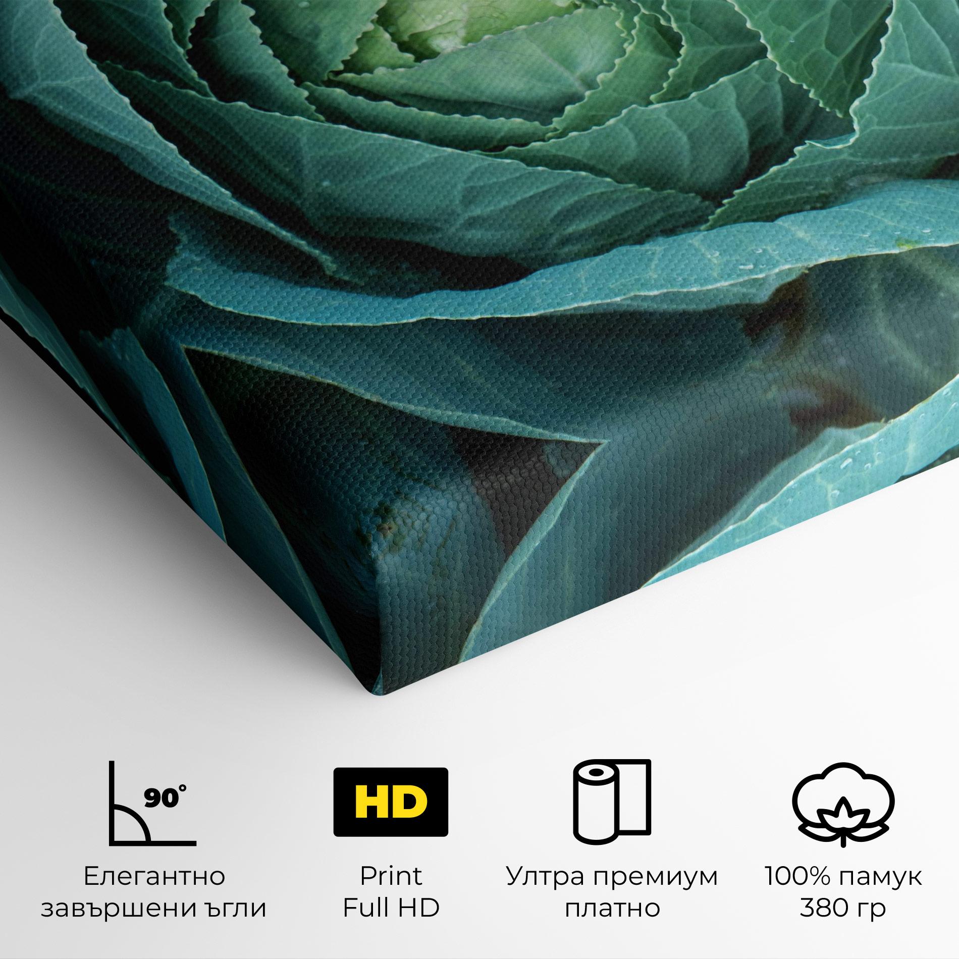 Картина на платно Blue Lettuce mockup 4