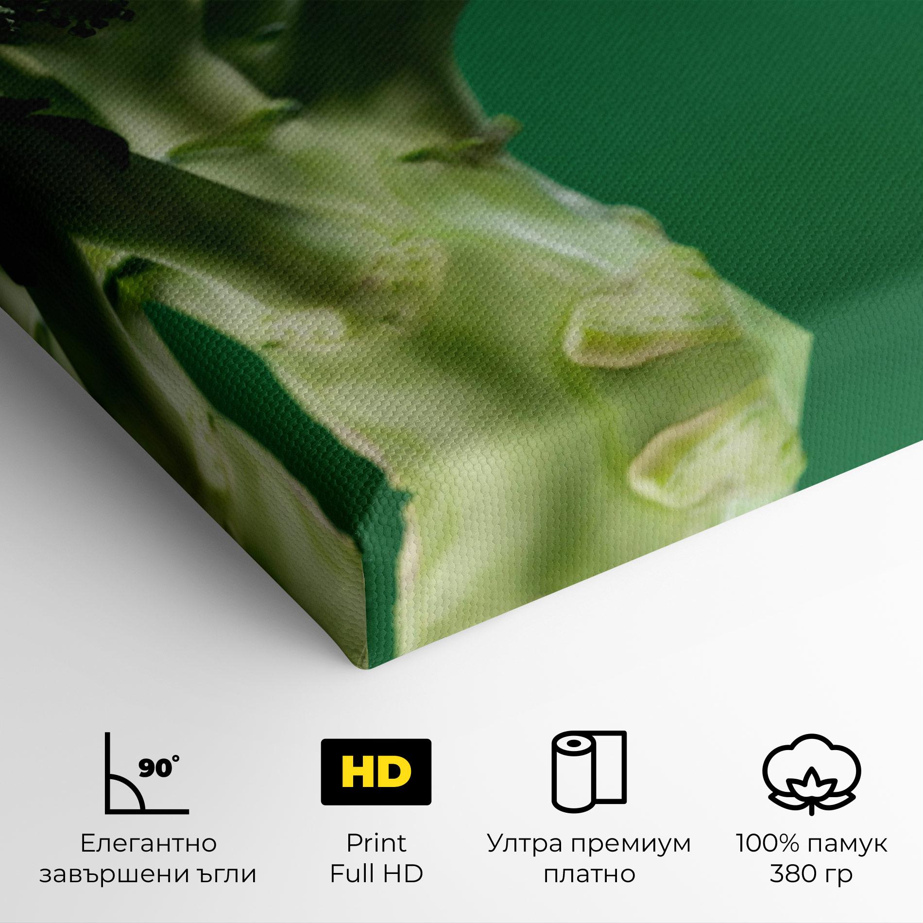 Картина на платно Broccoli mockup 4
