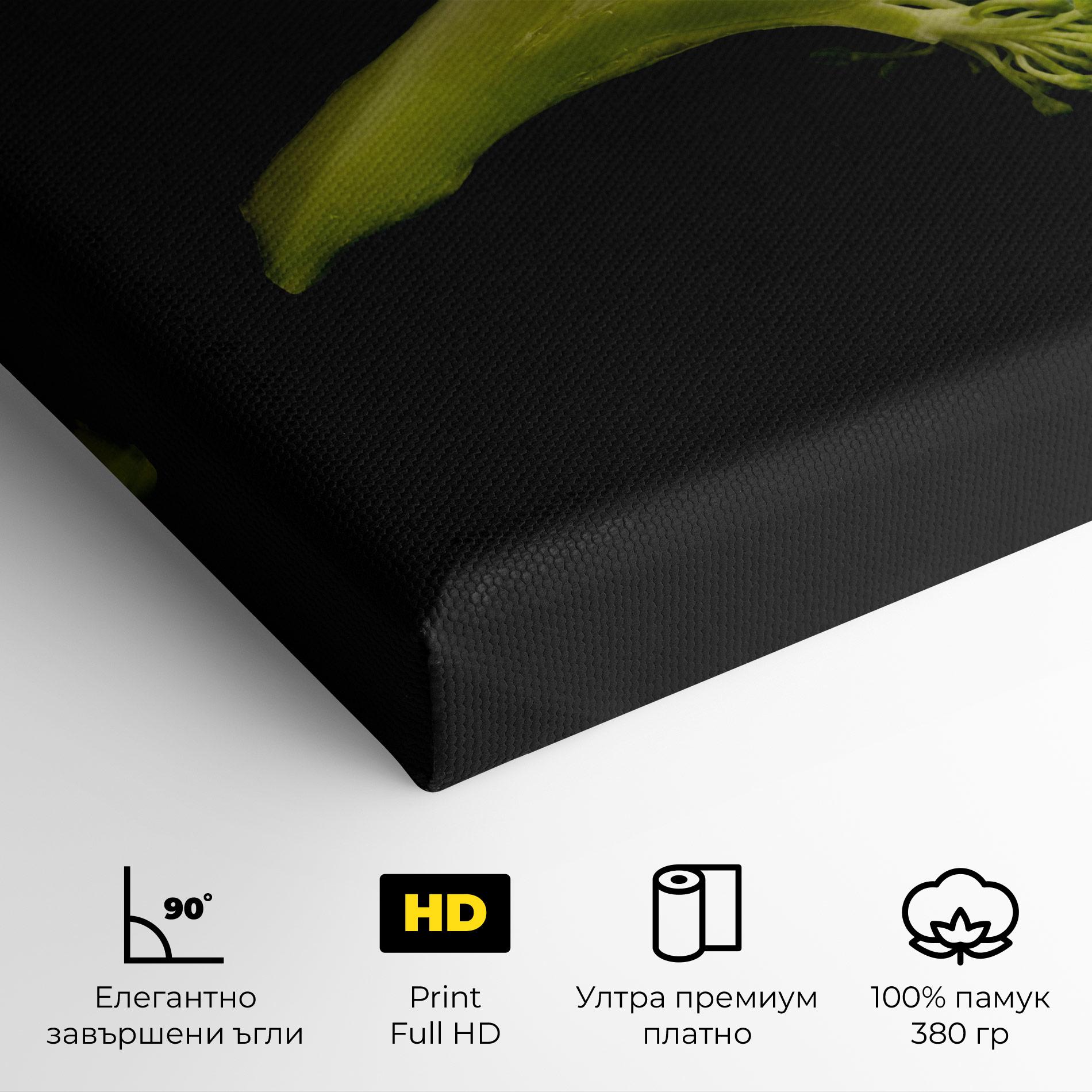 Картина на платно Nice Broccoli mockup 4