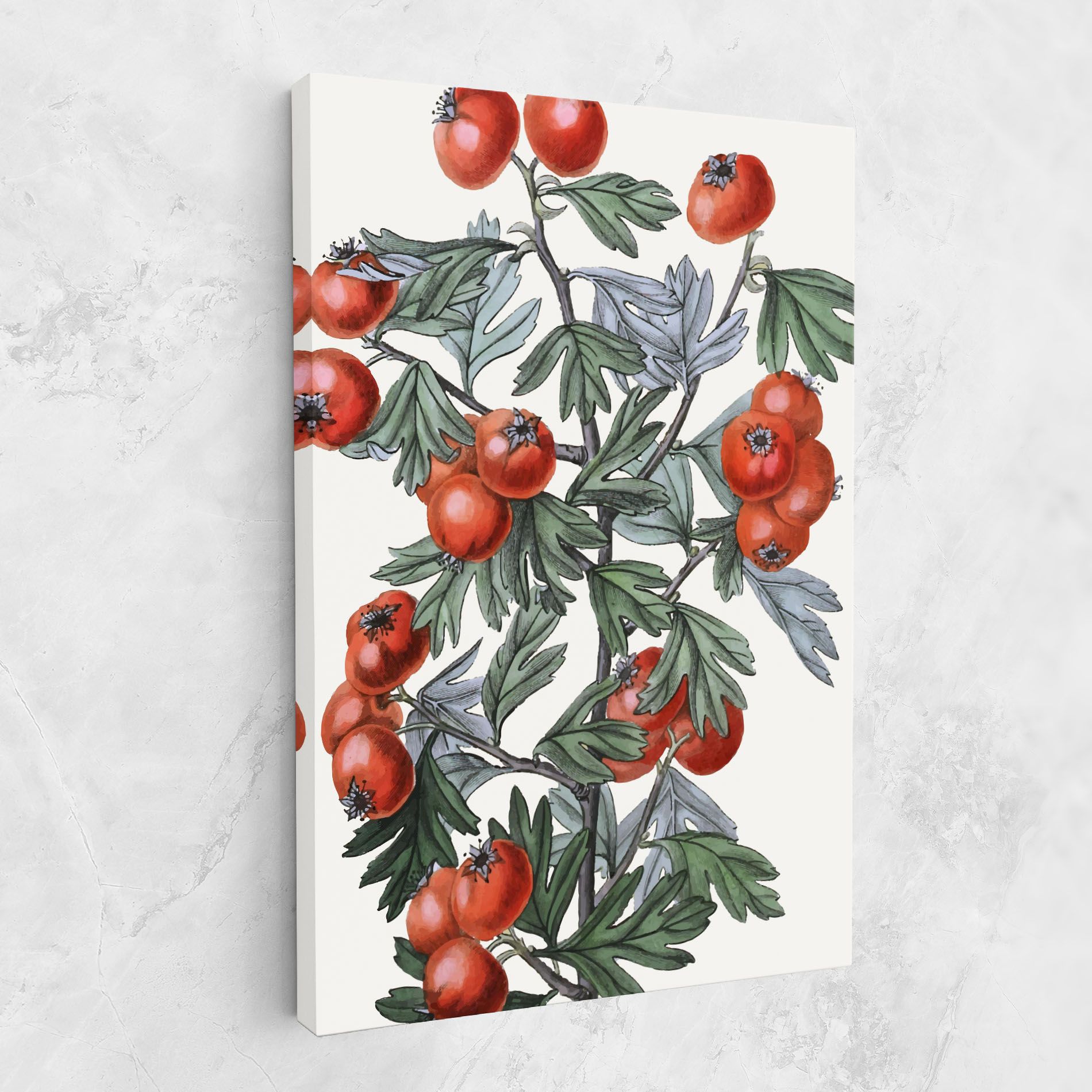 Cherry Drawing mockup 1