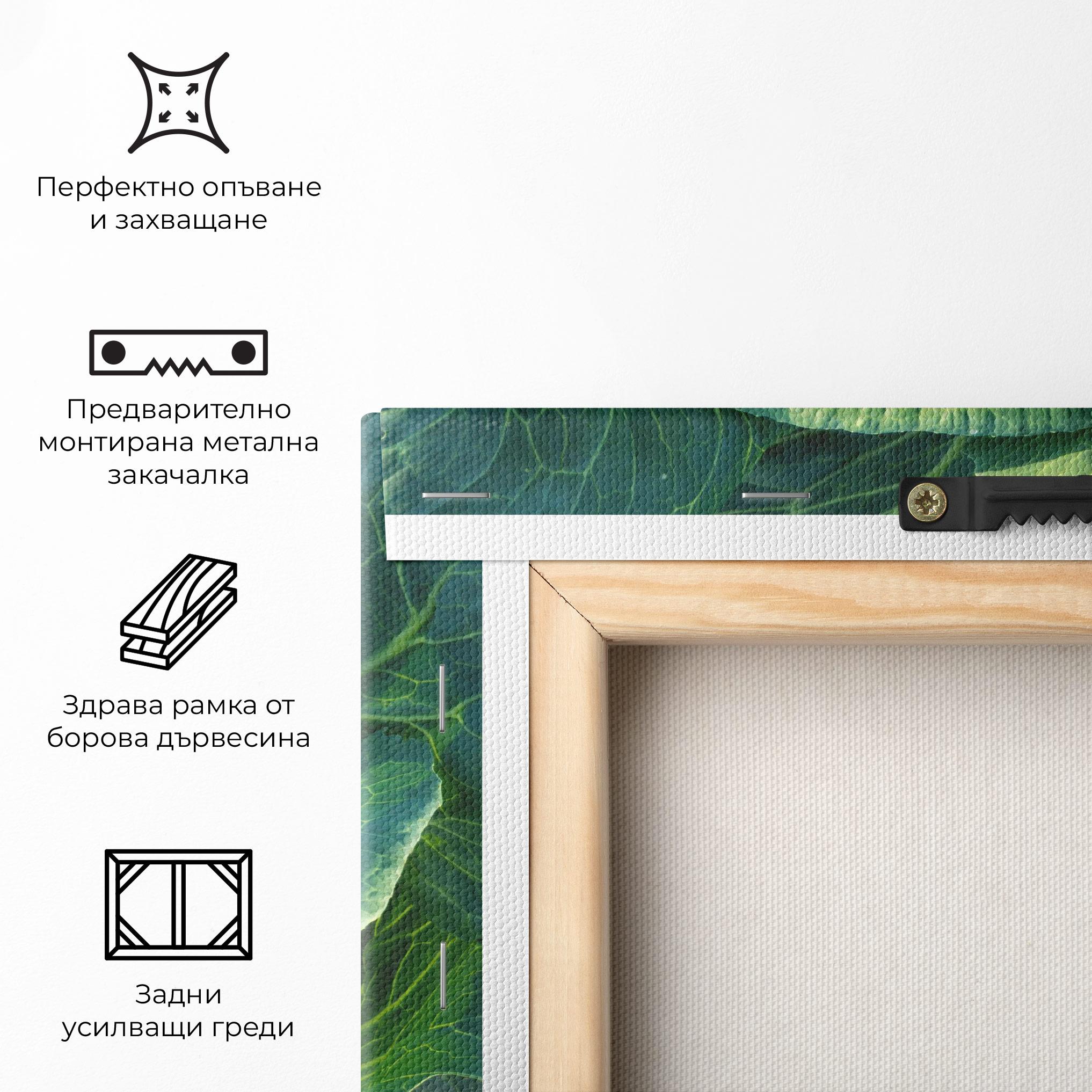 Картина на платно Green Lettuce mockup 5