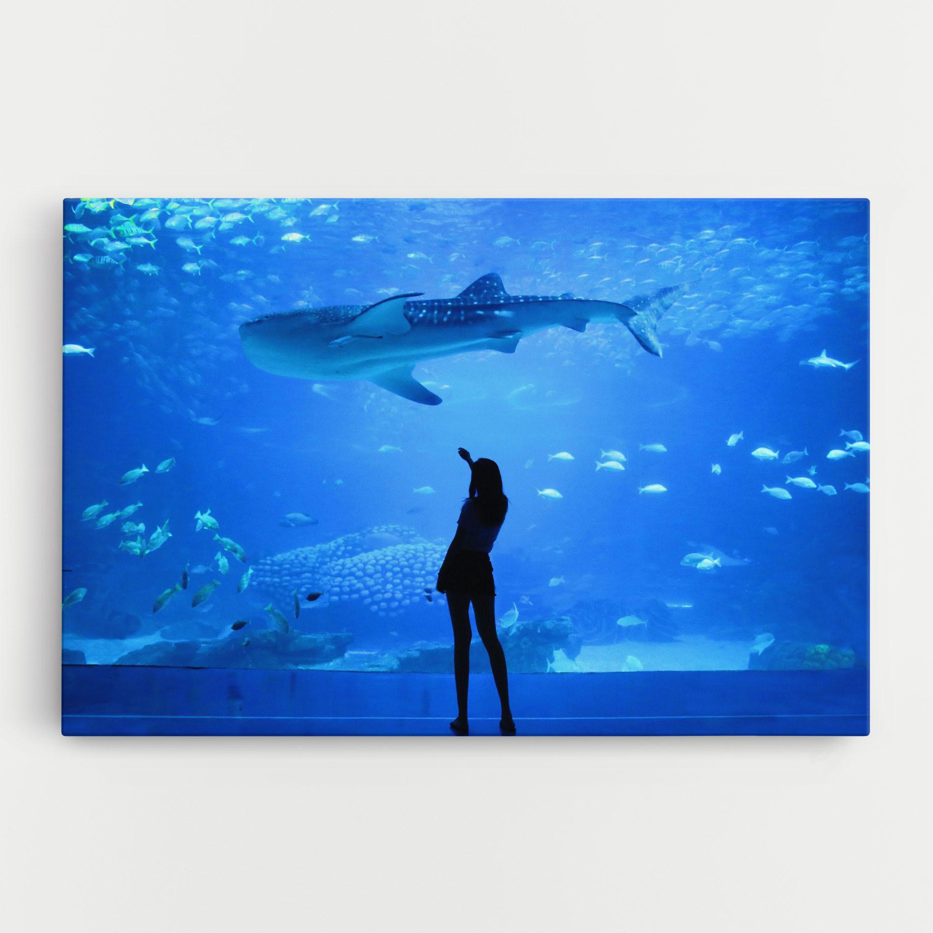 Картина на платно Aquarium Girl mockup 0