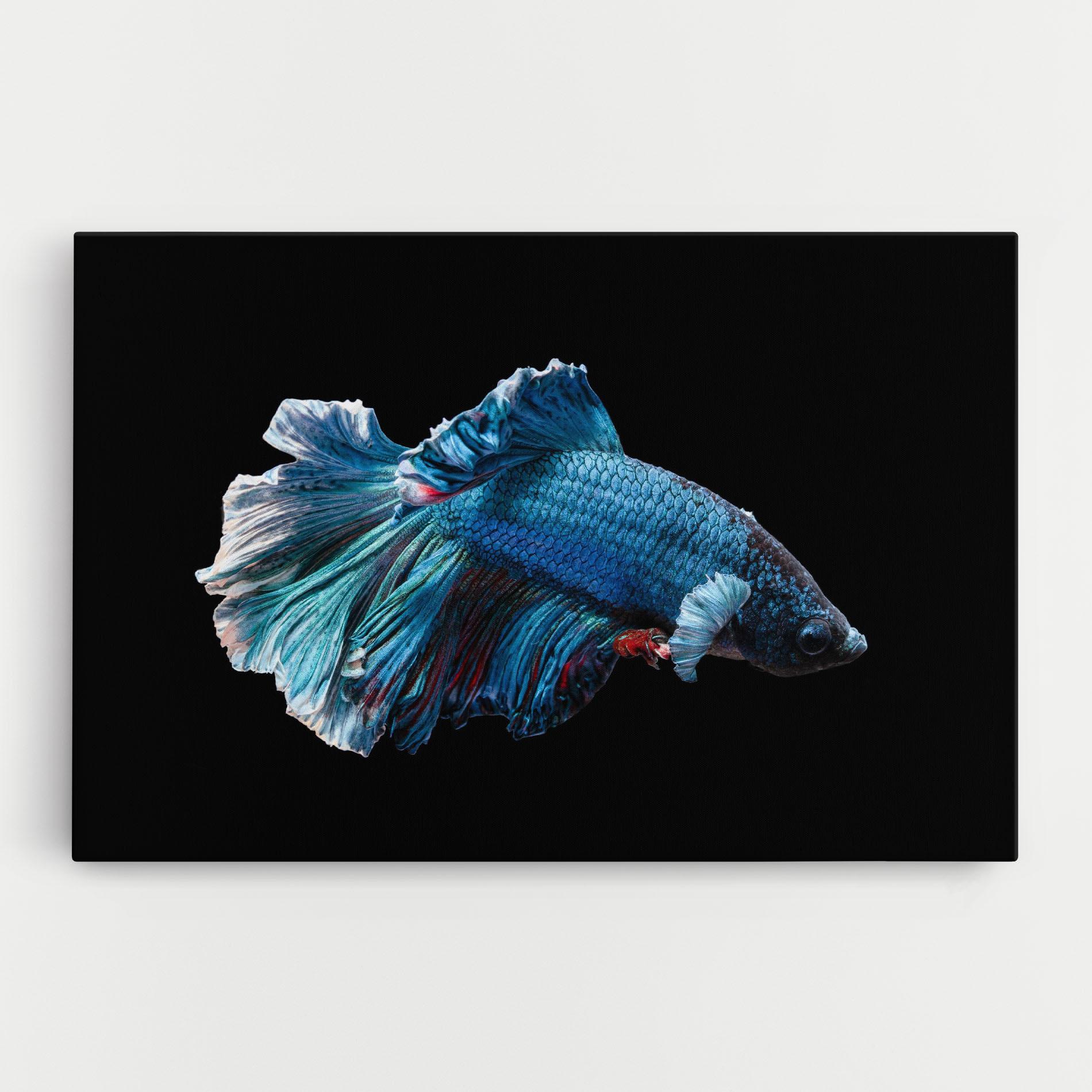 Картина на платно Blue Betta mockup 0