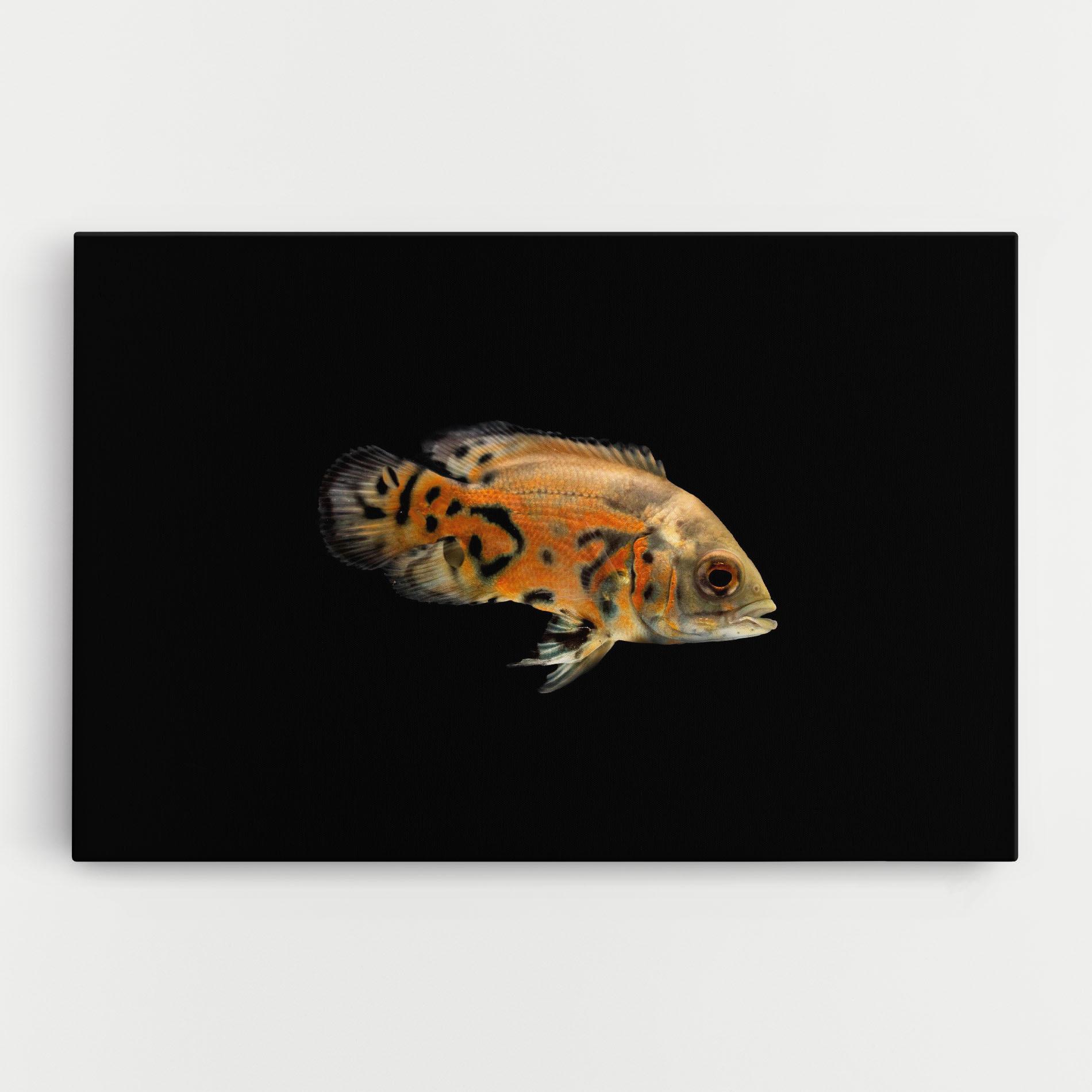 Картина на платно Cute Brown Fish mockup 0