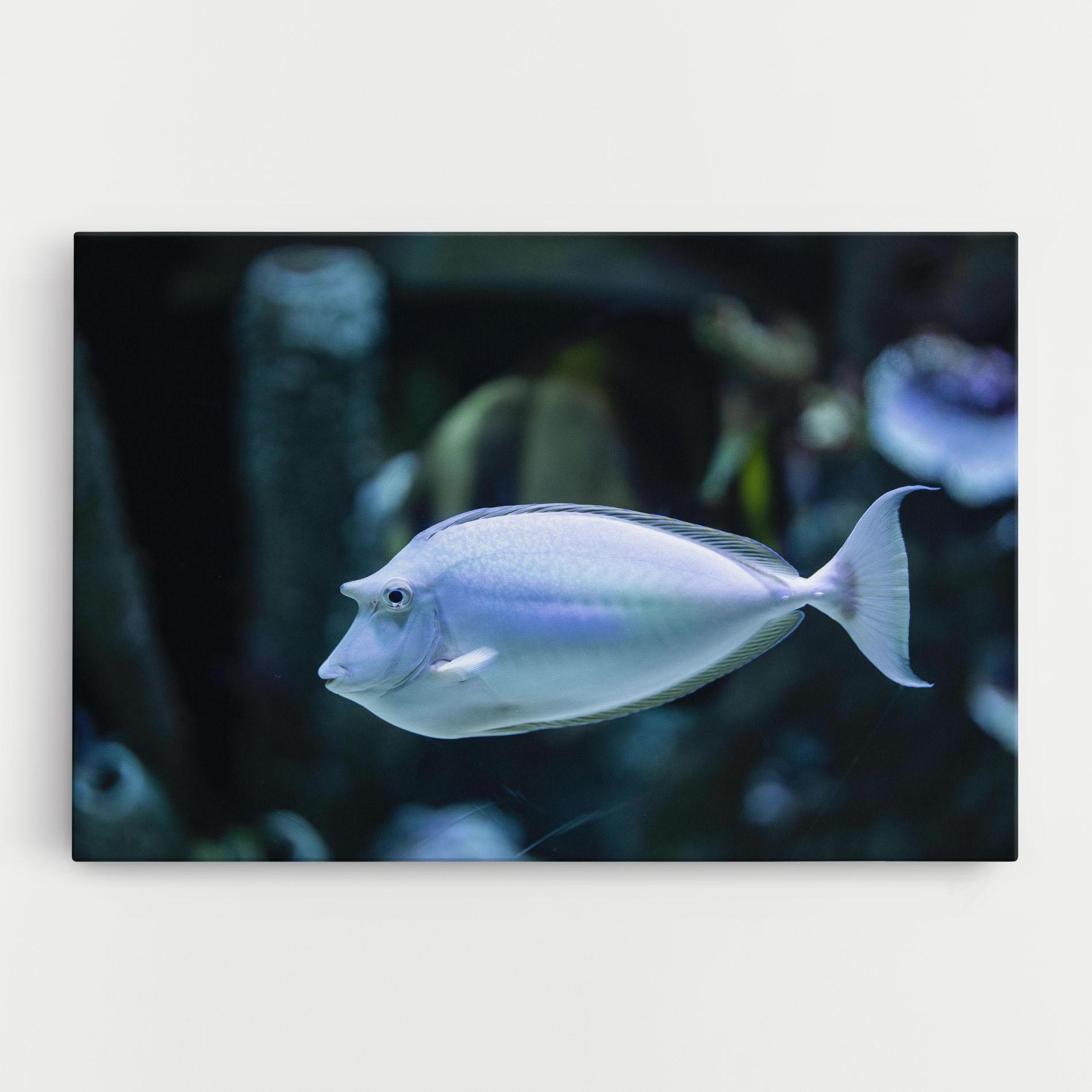 Картина на платно Funny Face Fish mockup 0