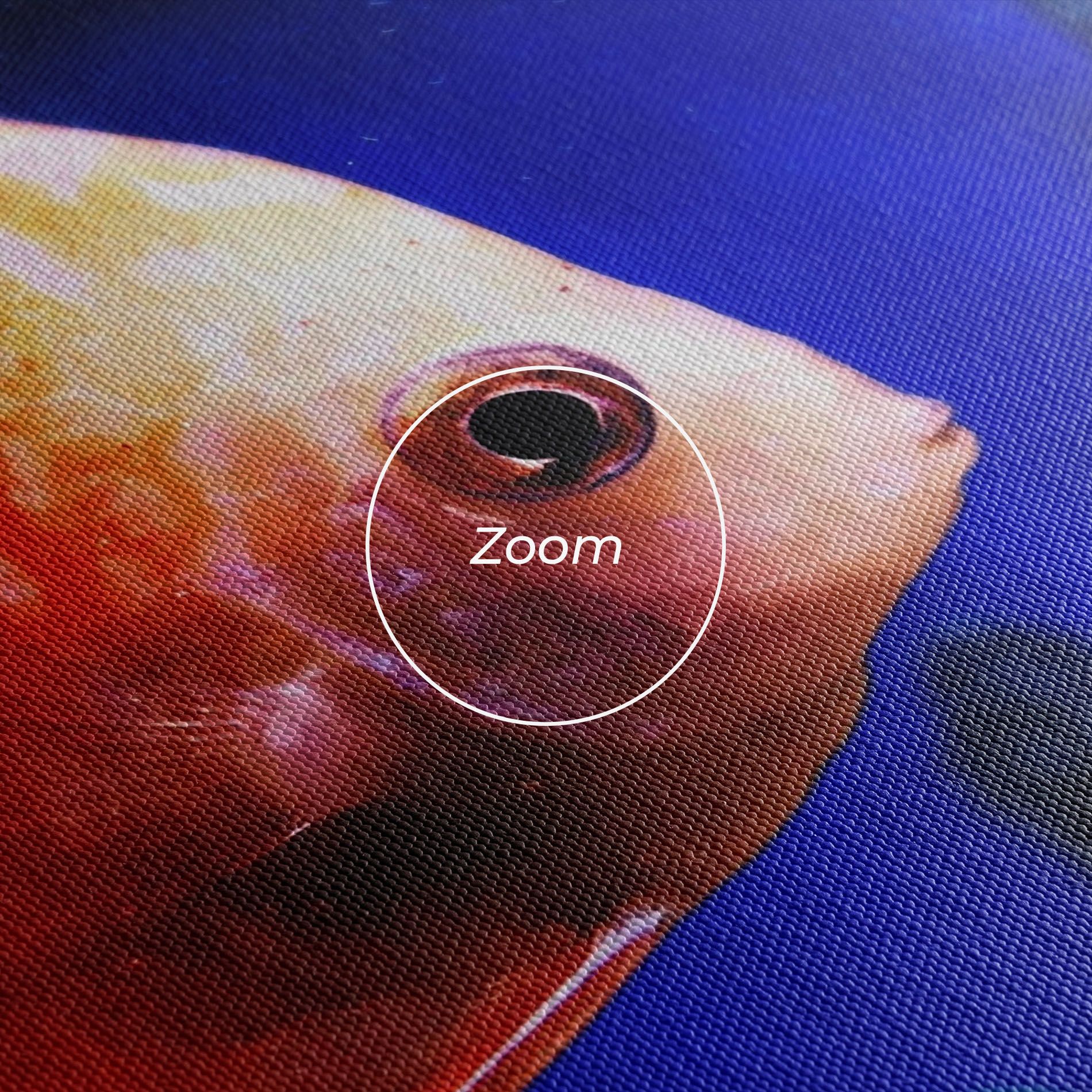 Pretty Orange Fish mockup 3