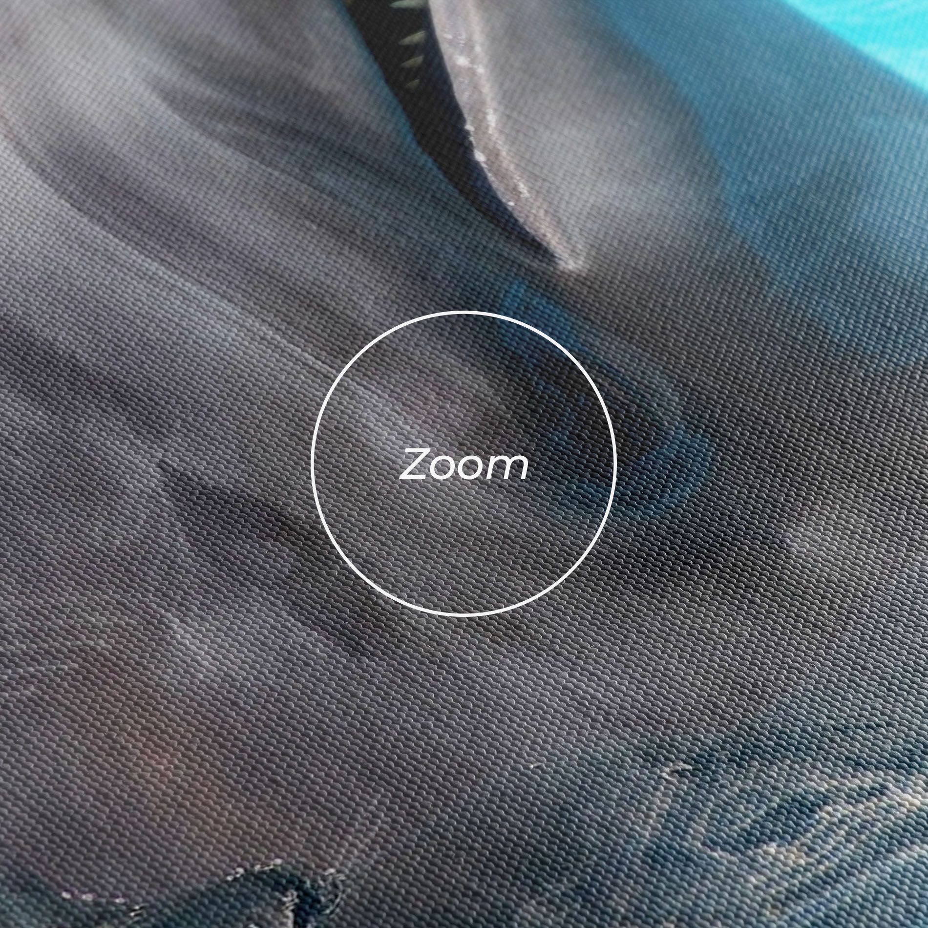 Trained Dolphin mockup 3