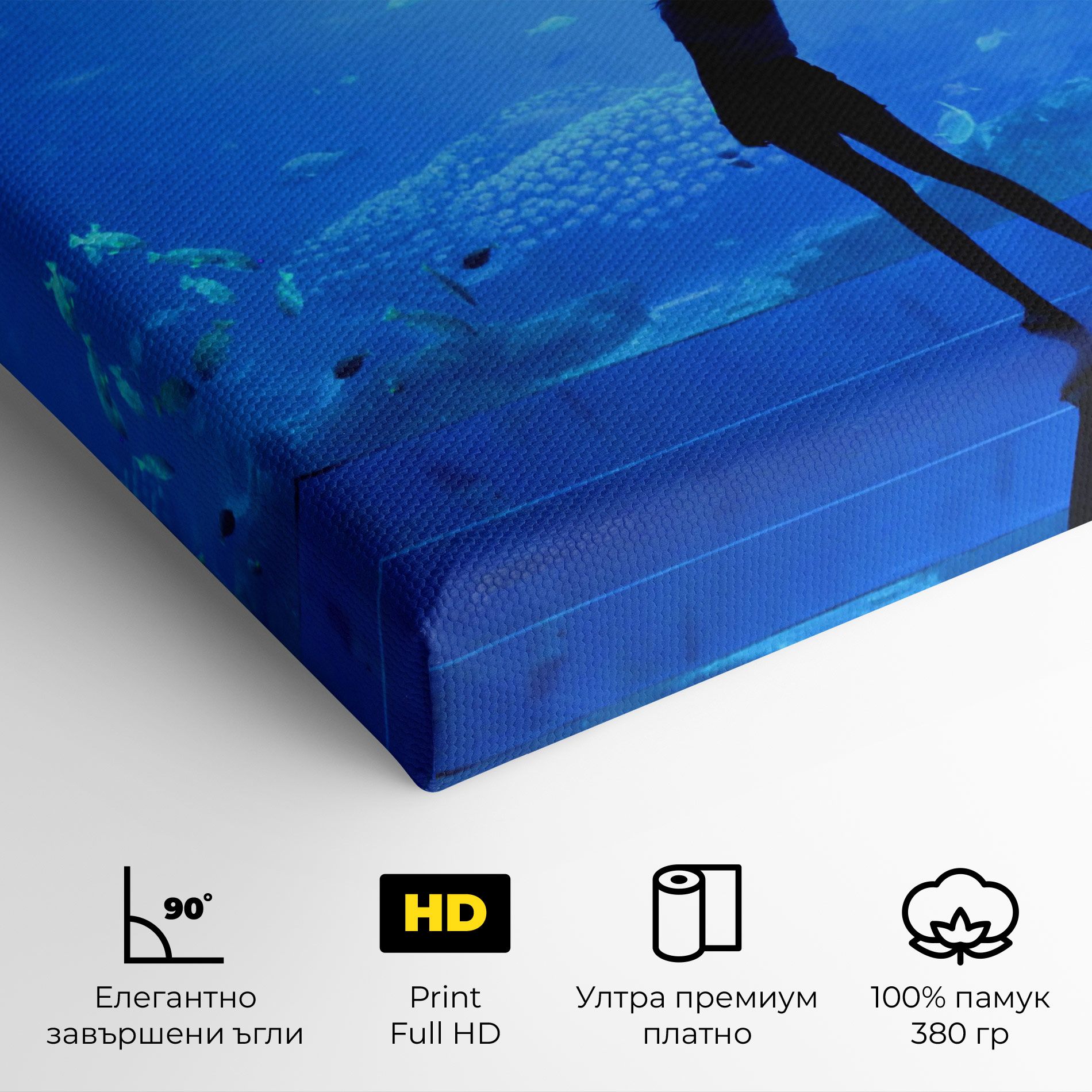 Aquarium Girl mockup 4