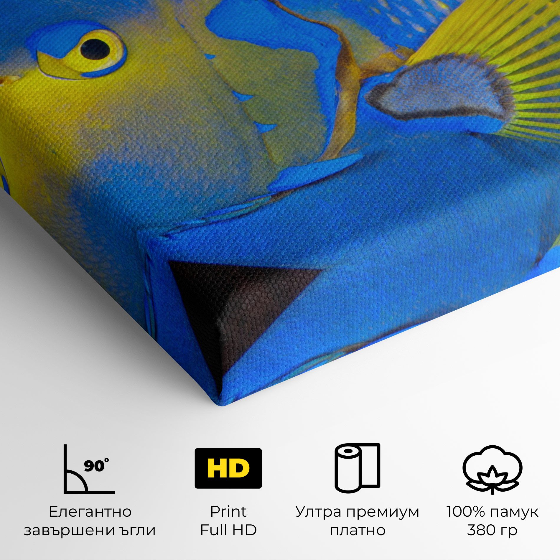 Blue Yellow Fish mockup 4