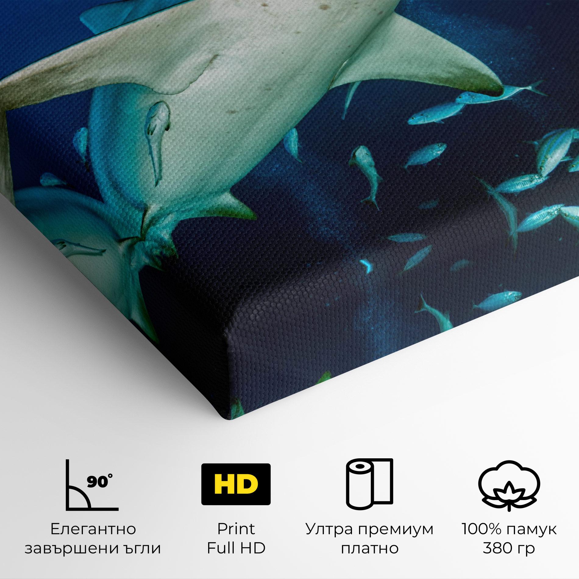 Картина на платно Bull Shark mockup 4