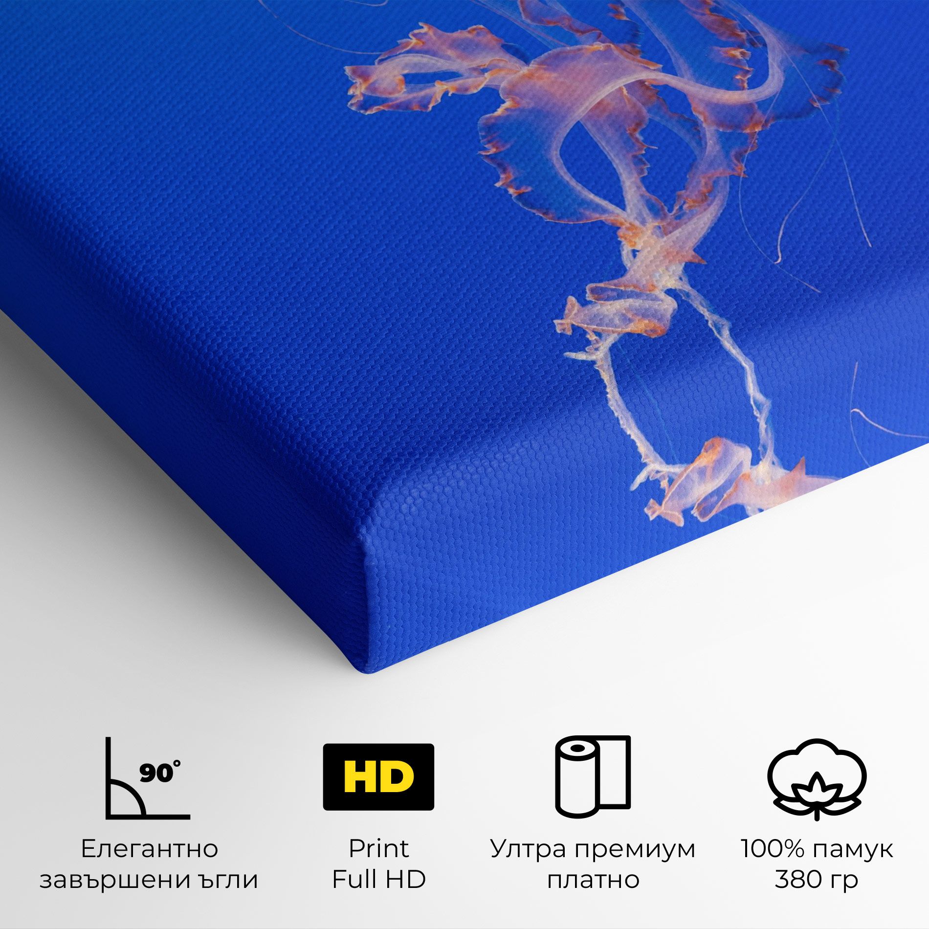 Pretty White Jellyfish mockup 4