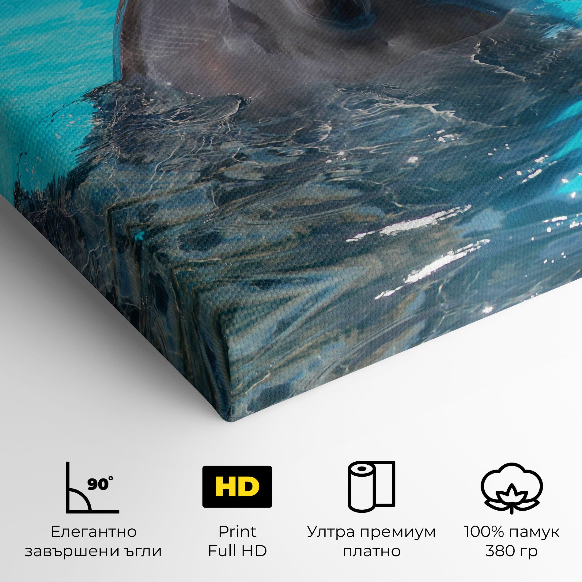 Trained Dolphin mockup 4